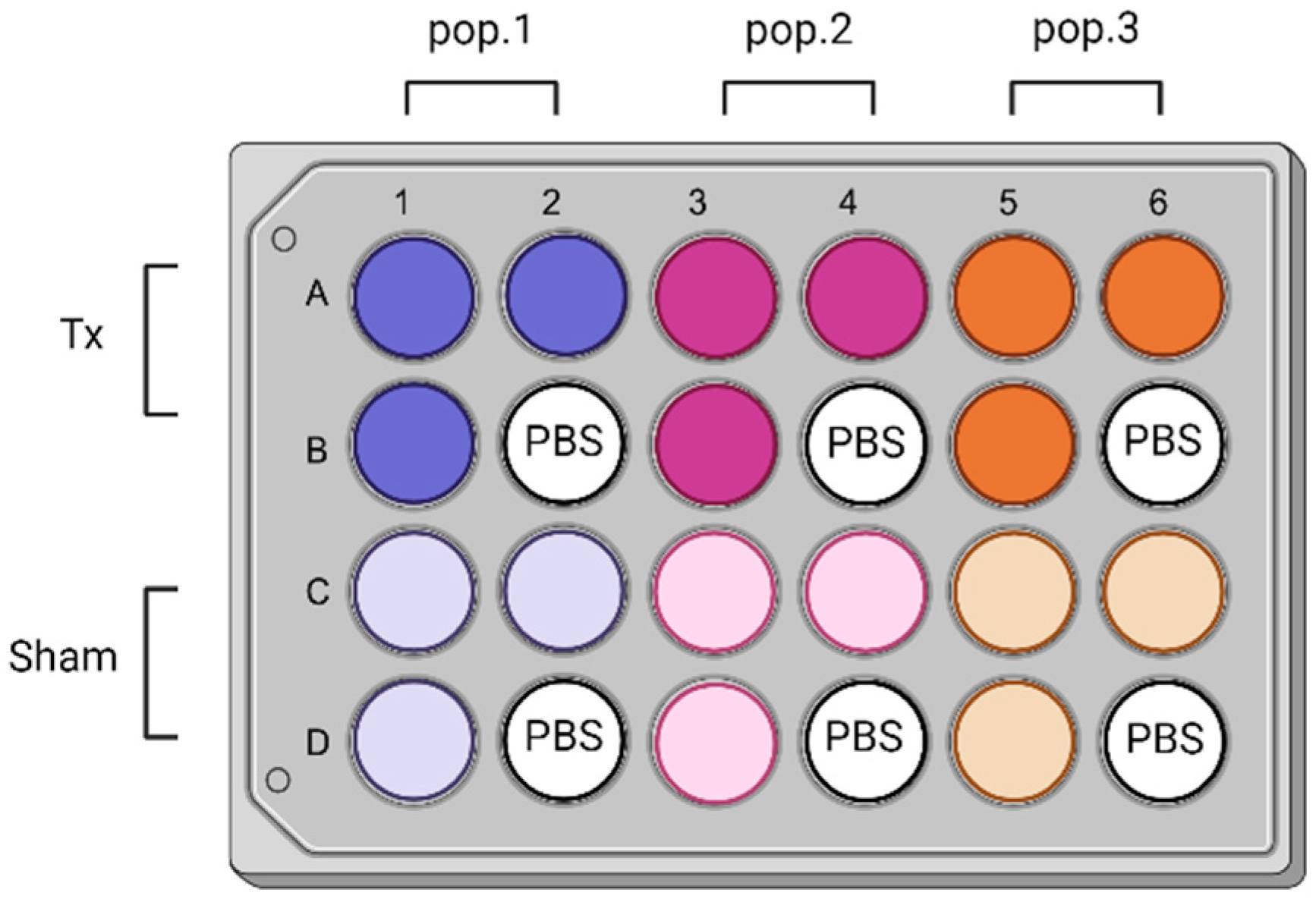 Antioxidants 13 01176 g001