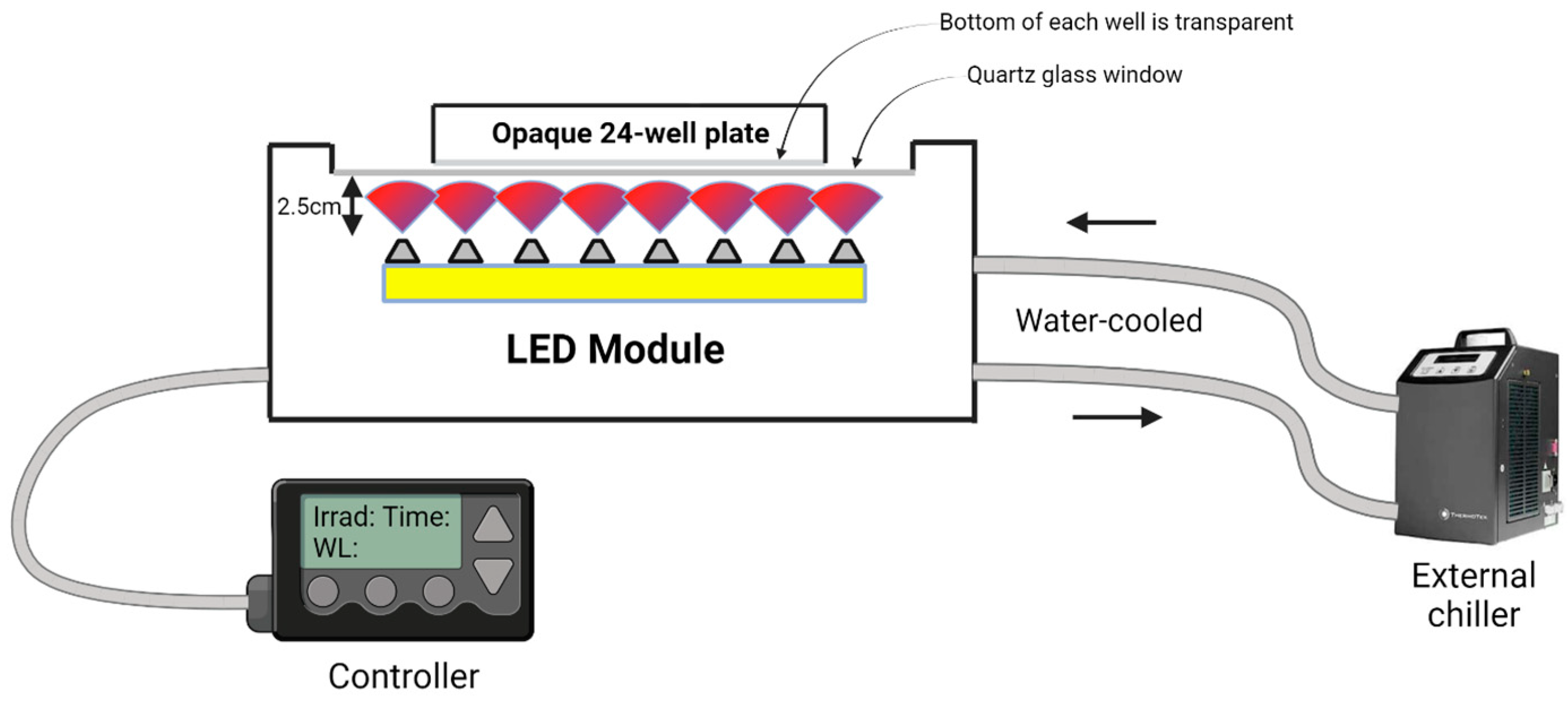 Antioxidants 13 01176 g002