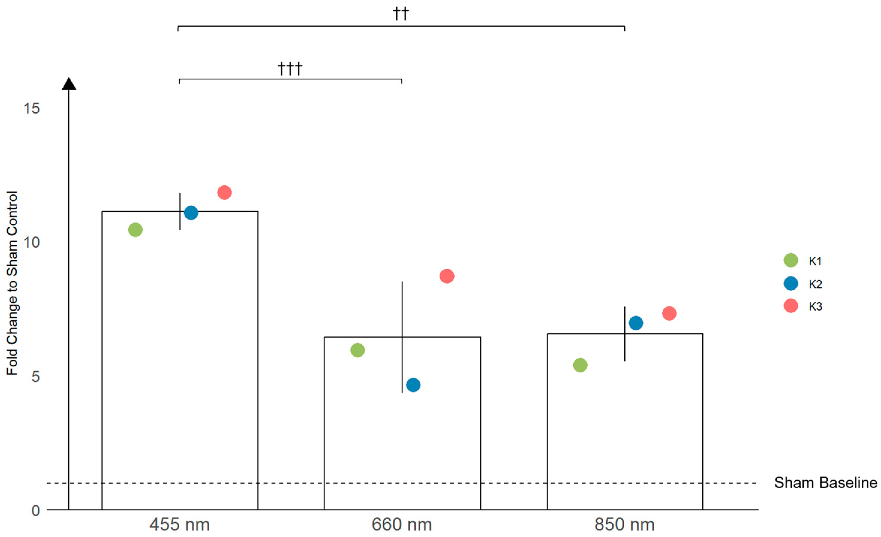 Antioxidants 13 01176 g003