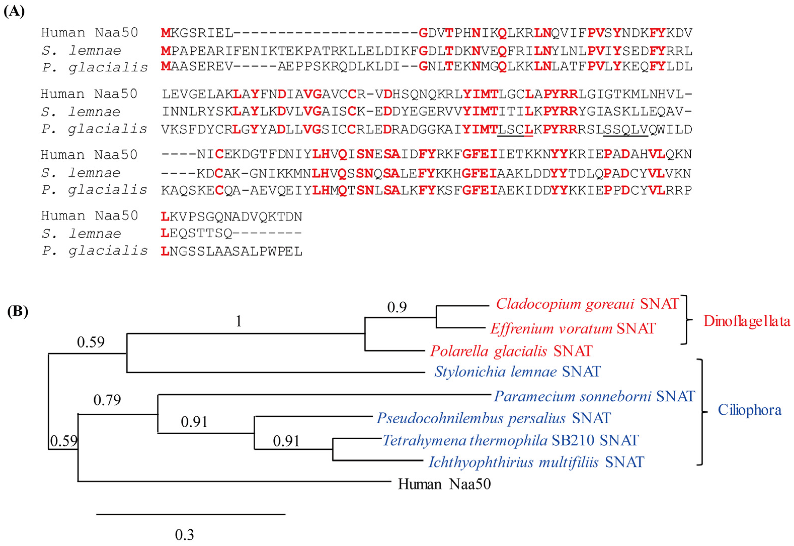 Antioxidants 13 01177 g008