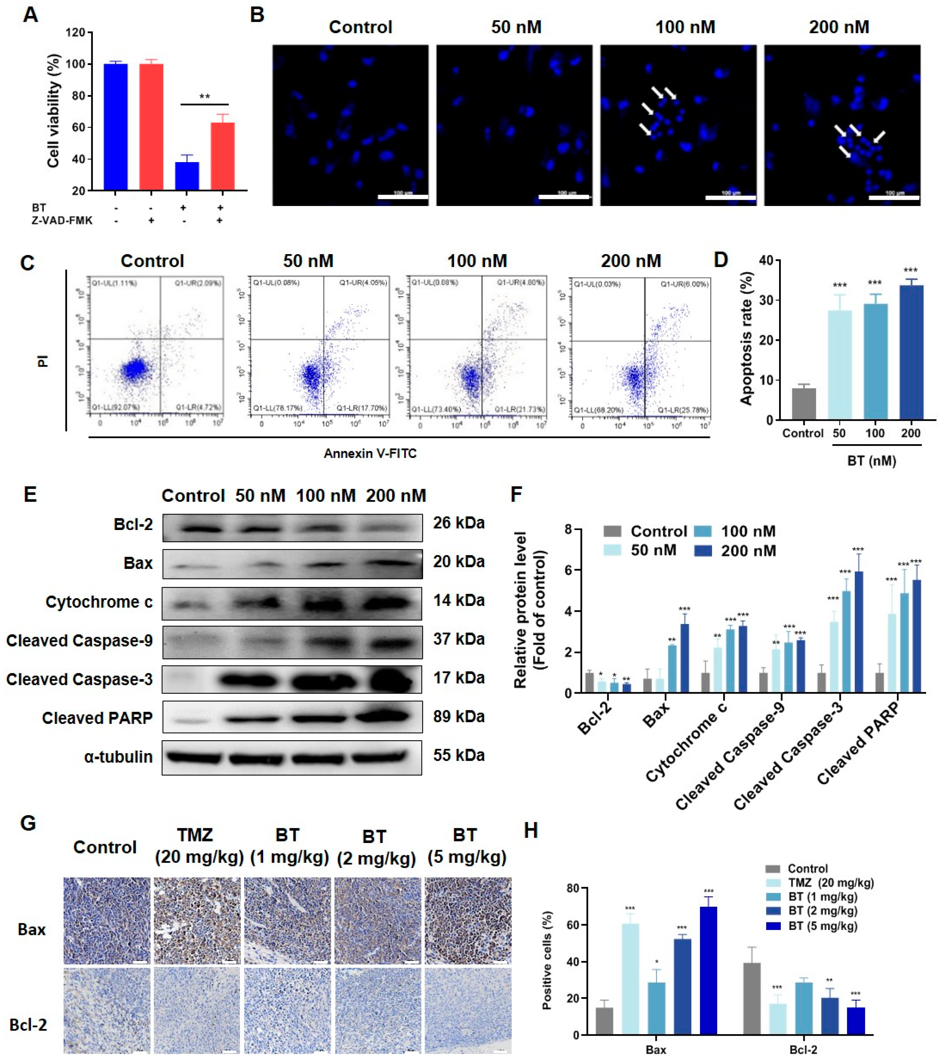 Antioxidants 13 01179 g003