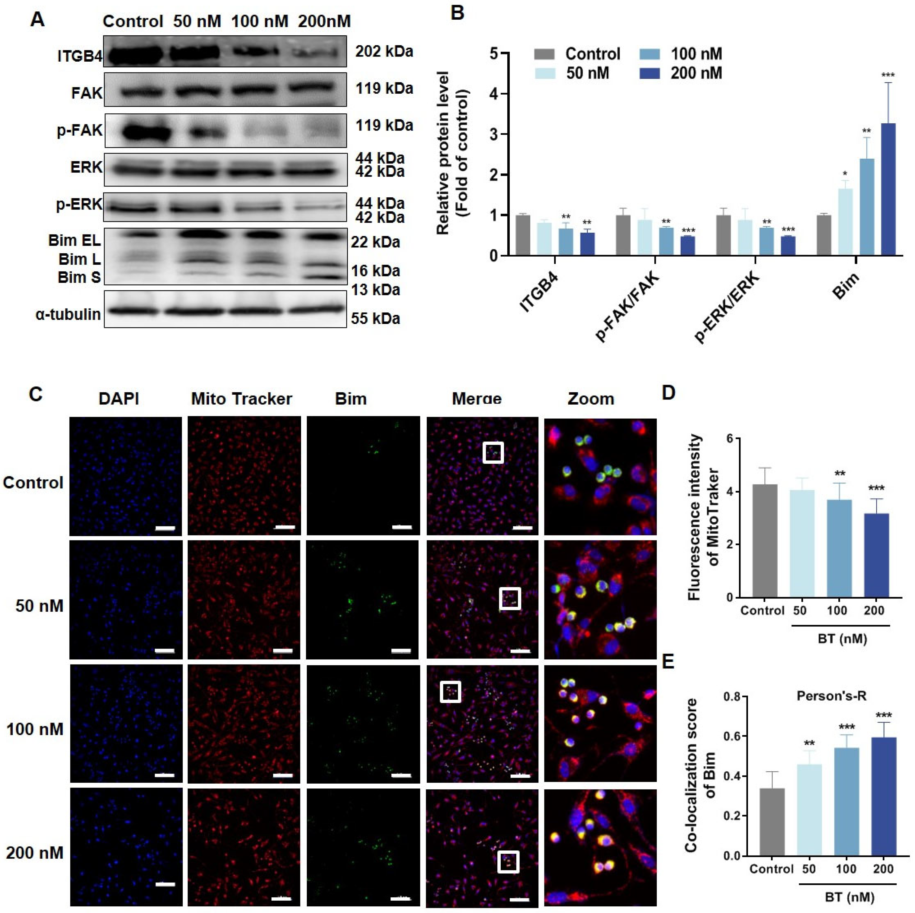 Antioxidants 13 01179 g005