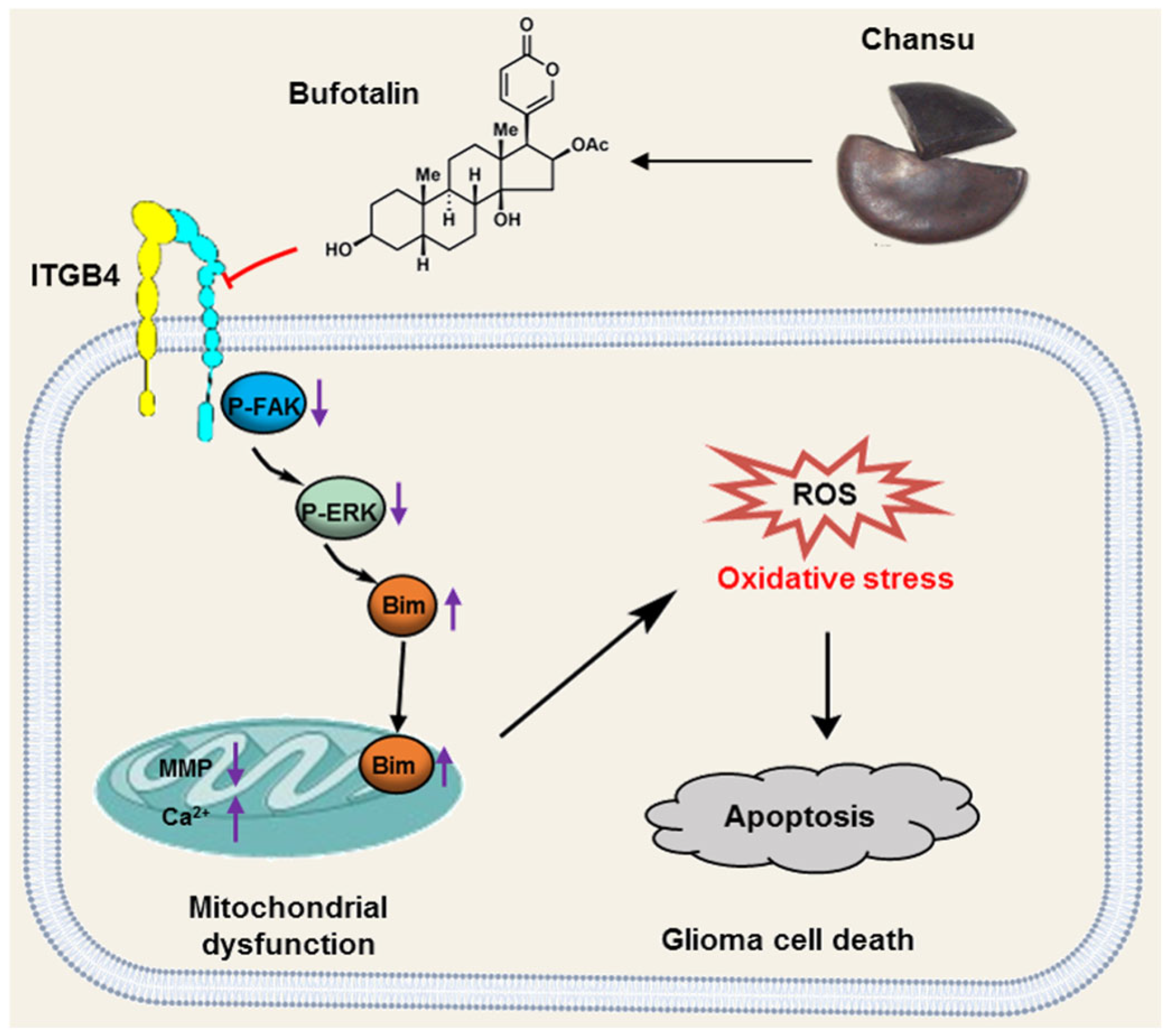 Antioxidants 13 01179 g008