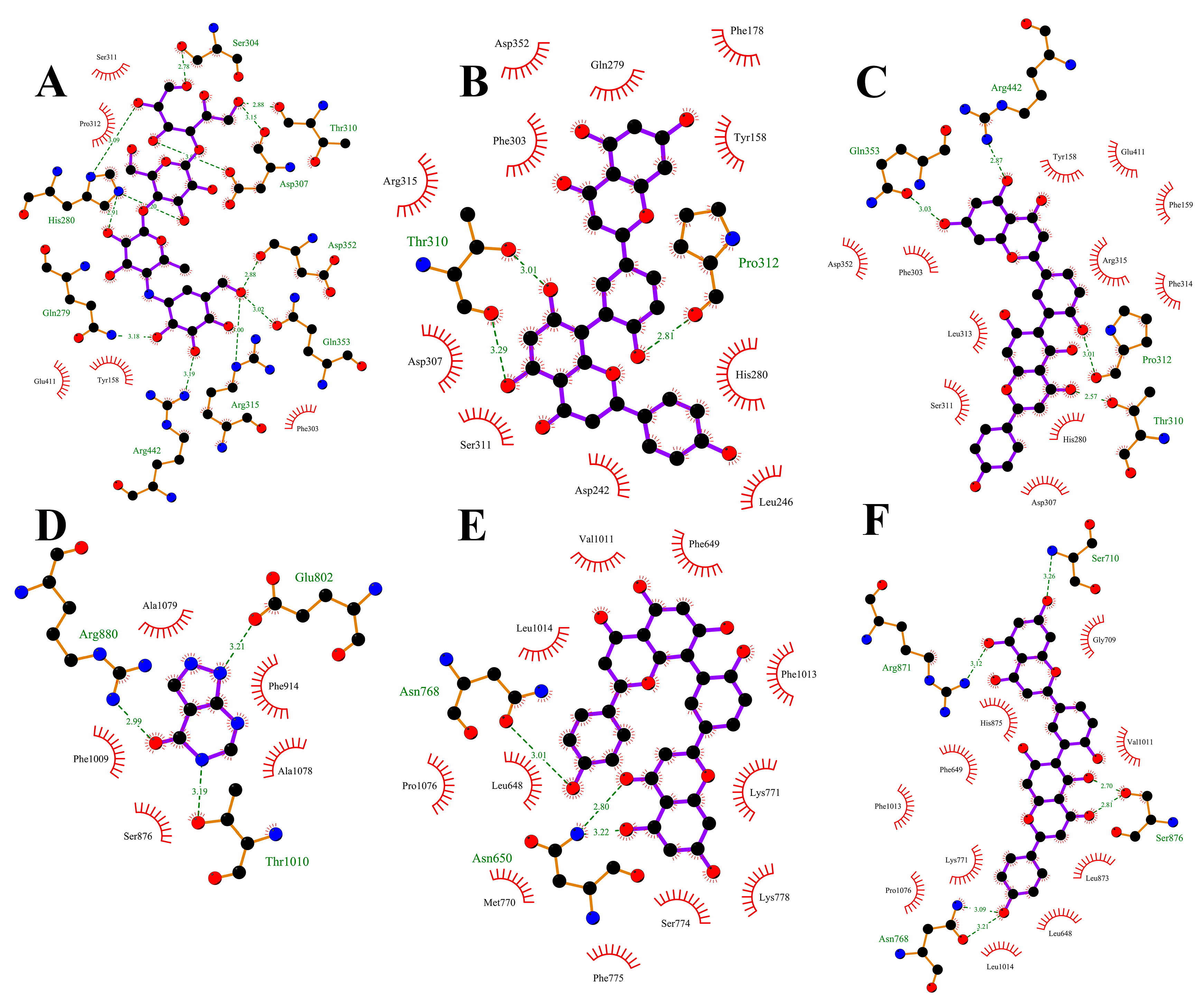 Antioxidants 13 01184 g007