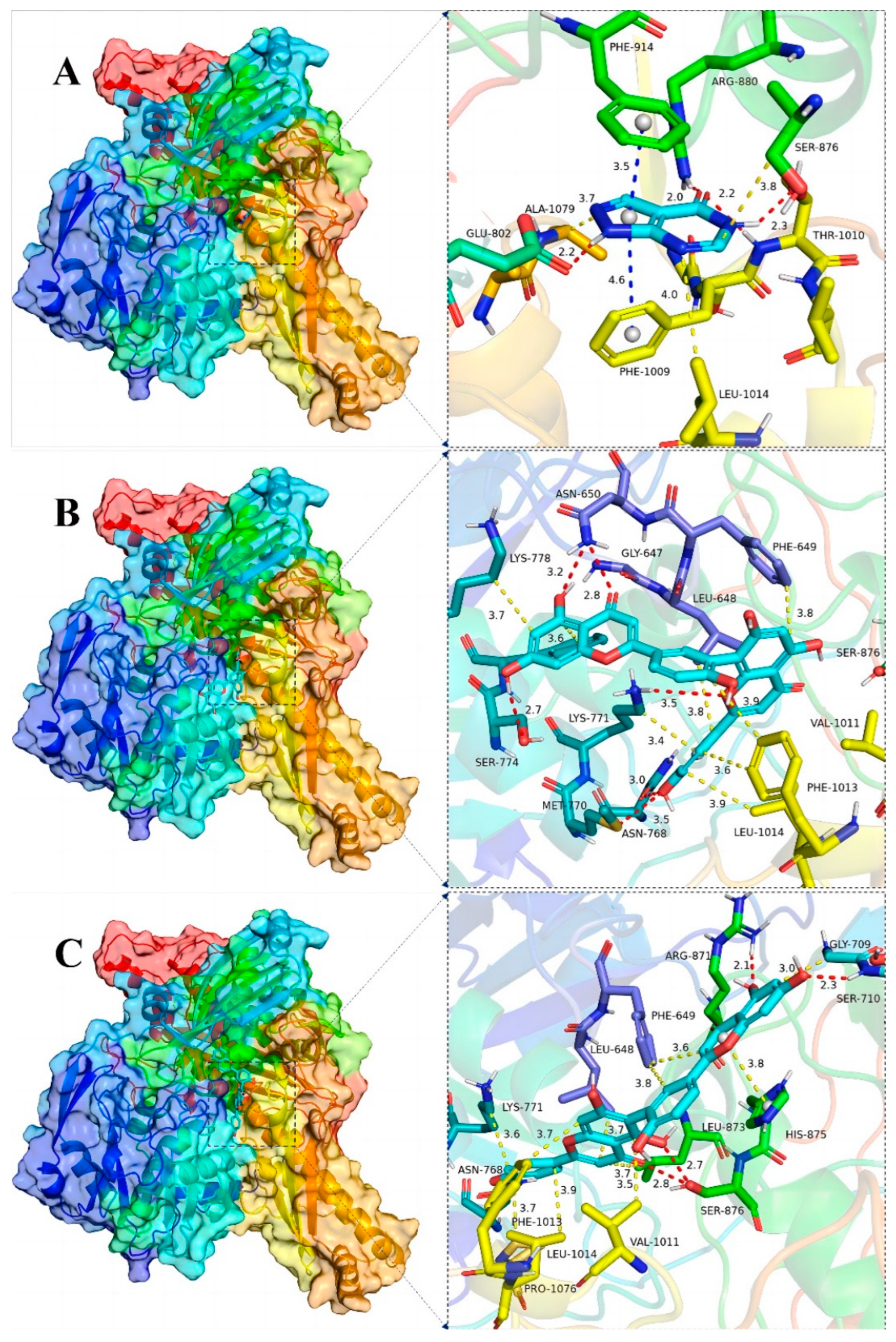 Antioxidants 13 01184 g009