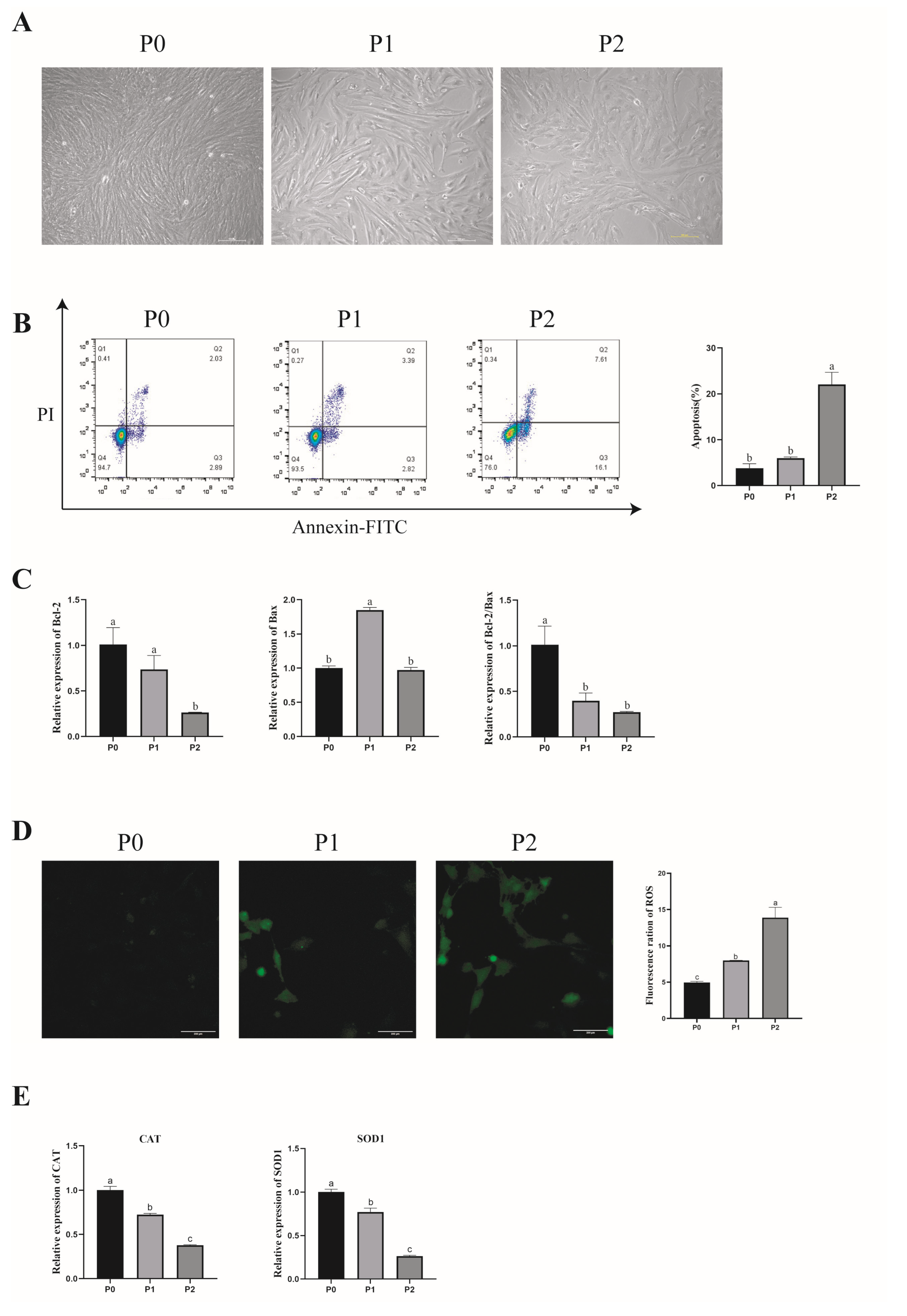 Antioxidants 13 01185 g002