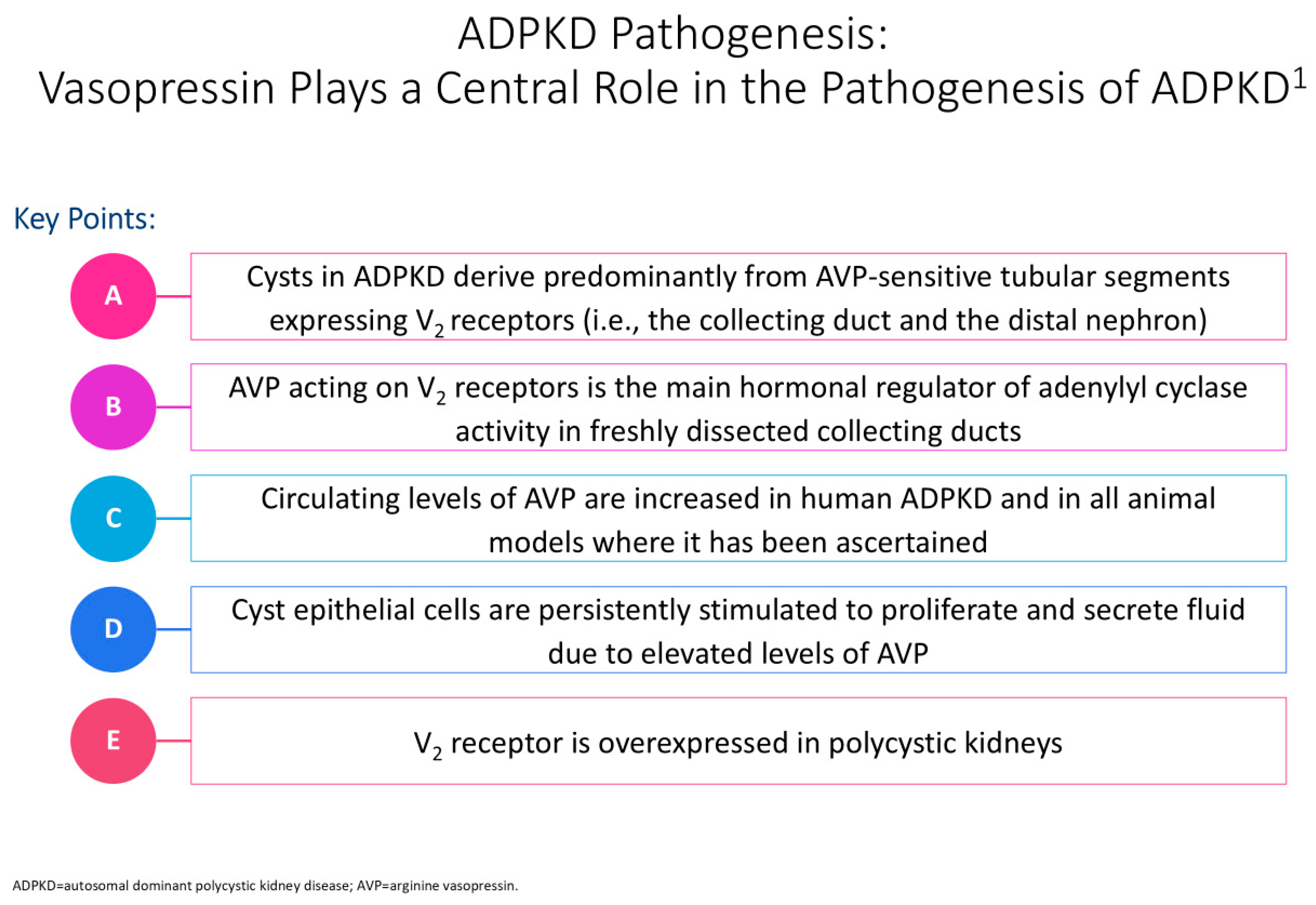 Antioxidants 13 01186 g002