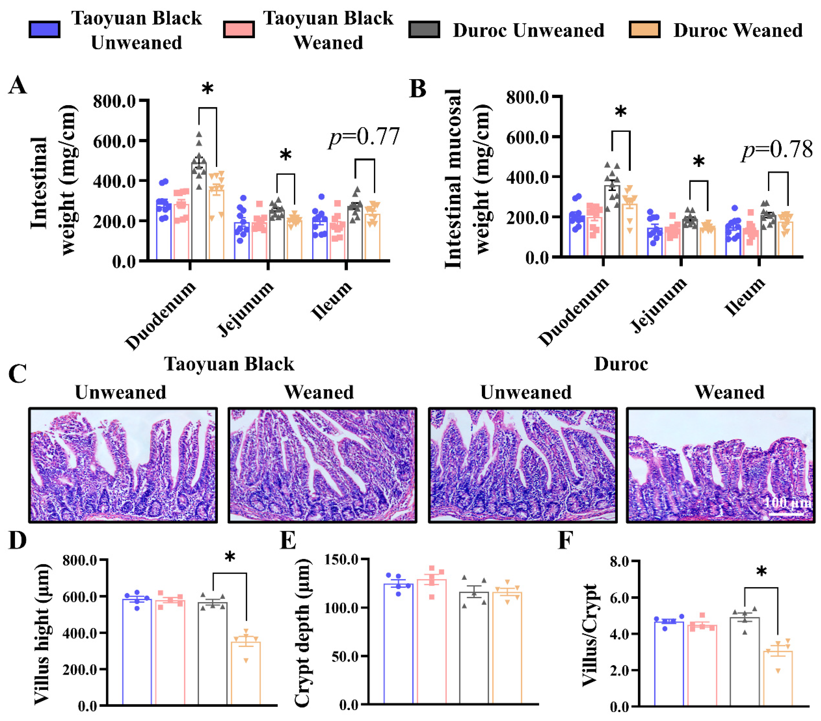 Antioxidants 13 01188 g001