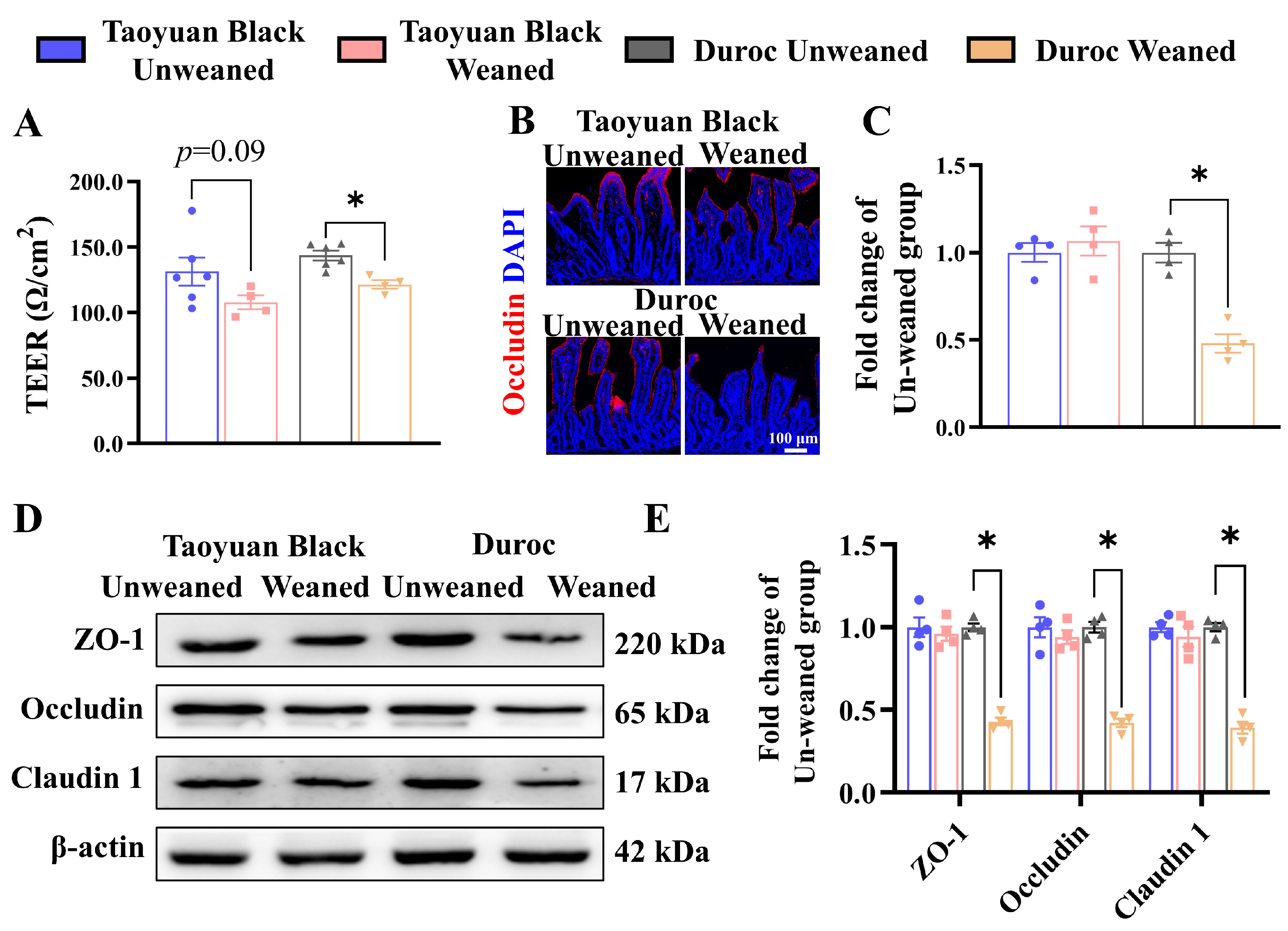 Antioxidants 13 01188 g002