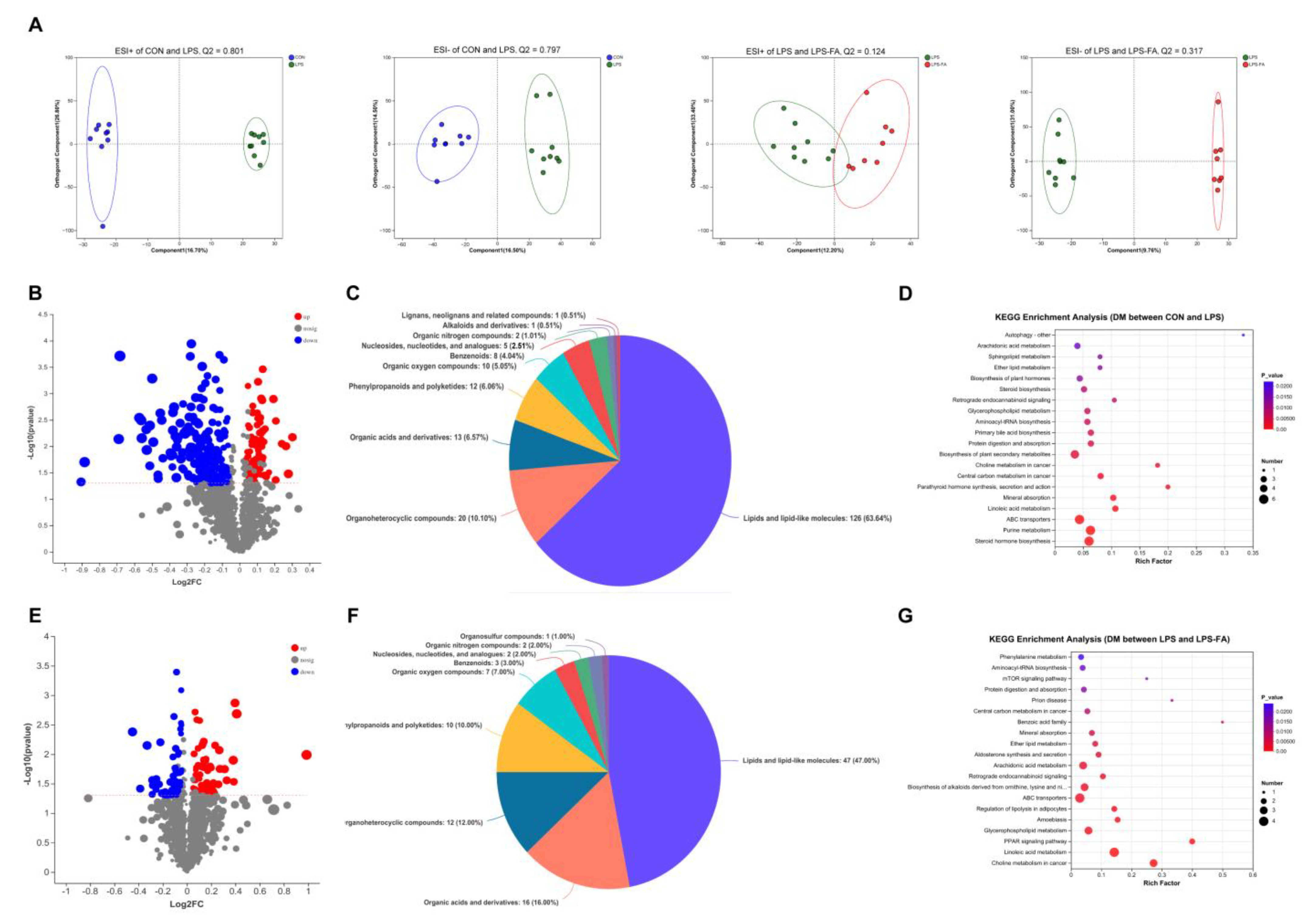 Antioxidants 13 01190 g004
