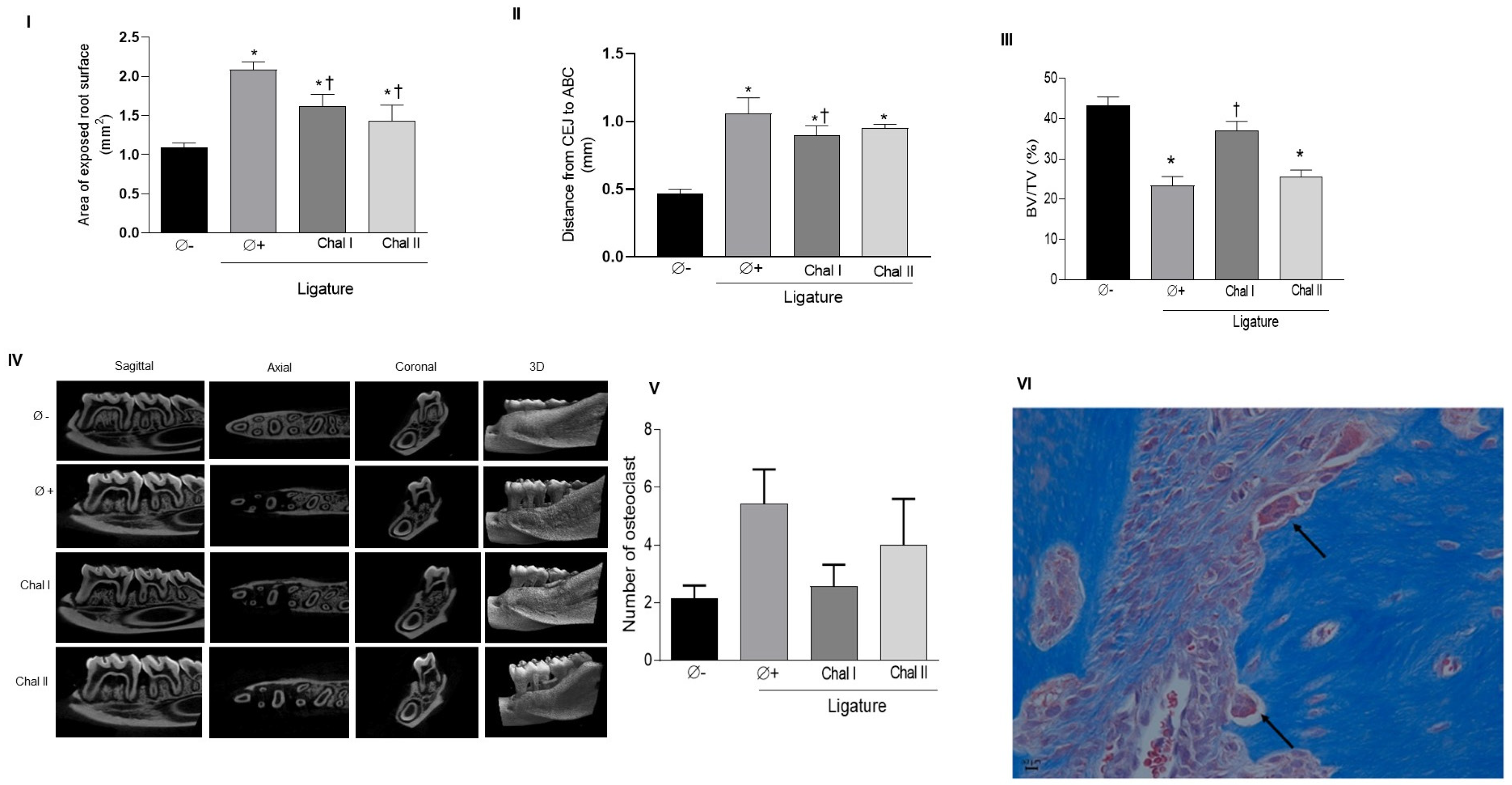 Antioxidants 13 01192 g001