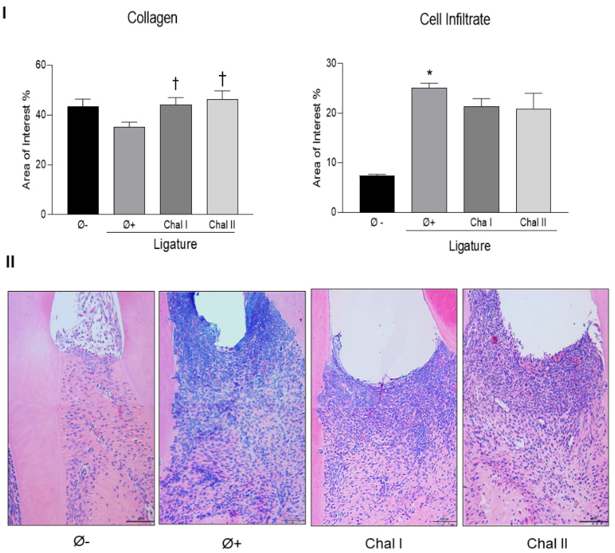 Antioxidants 13 01192 g002