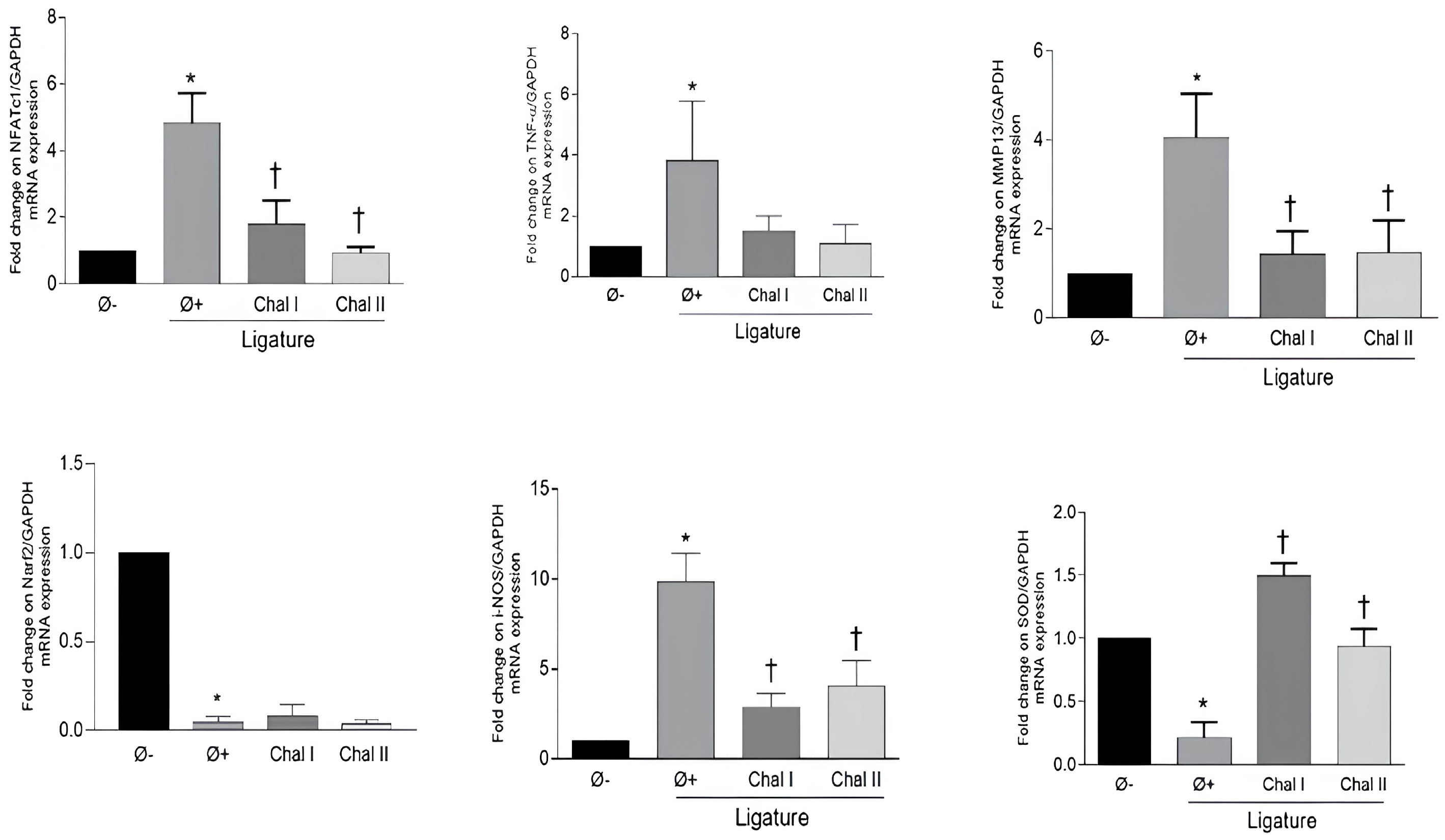 Antioxidants 13 01192 g003