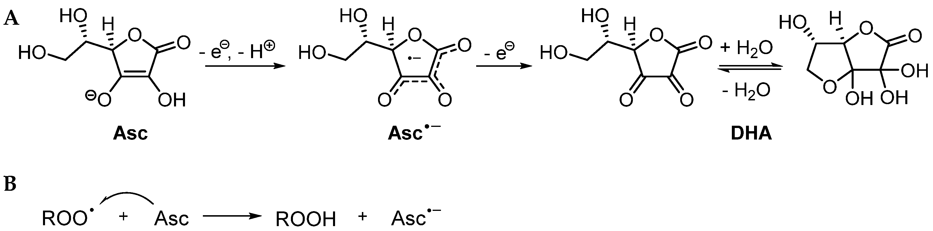 Antioxidants 13 01194 sch001