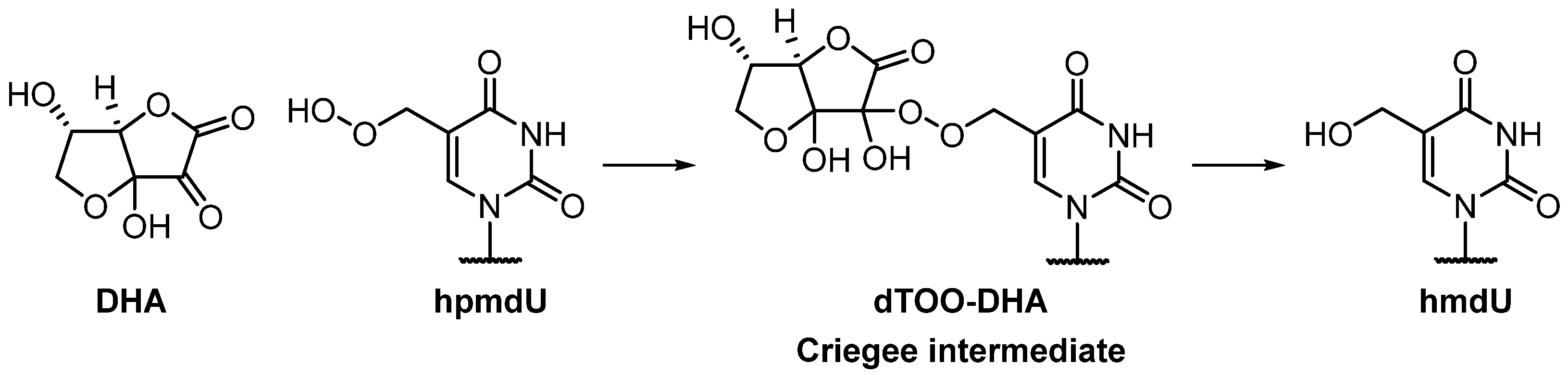 Antioxidants 13 01194 sch002