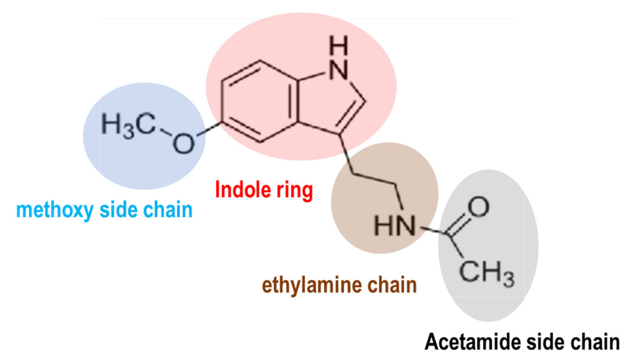 Antioxidants 13 01197 g001