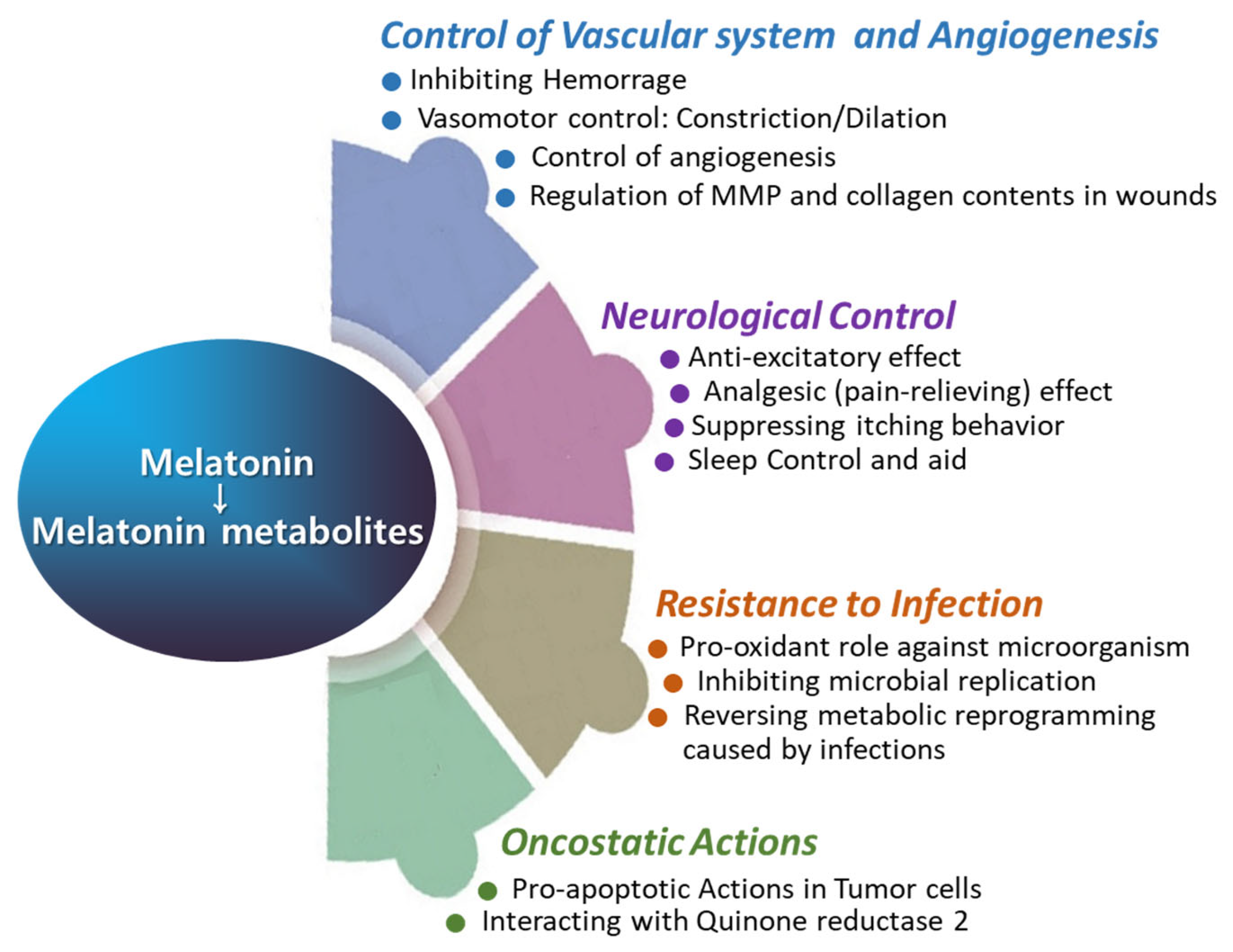 Antioxidants 13 01197 g005