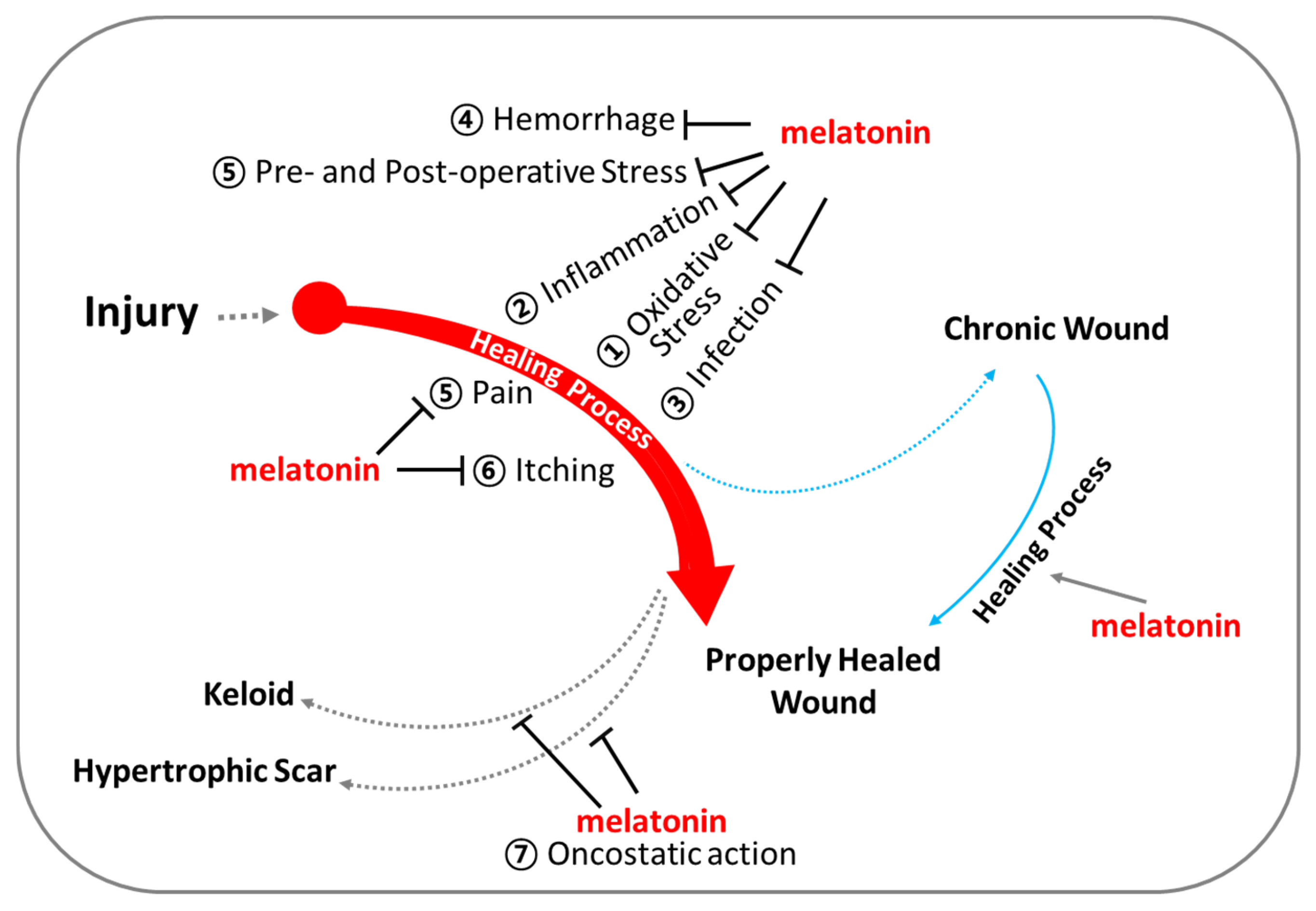 Antioxidants 13 01197 g006