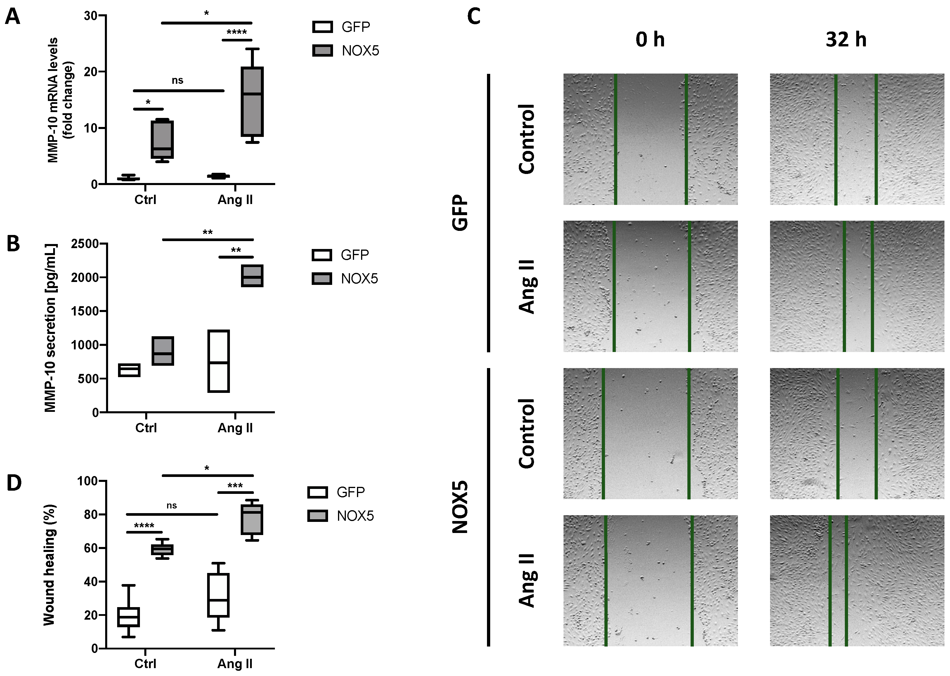 Antioxidants 13 01199 g001