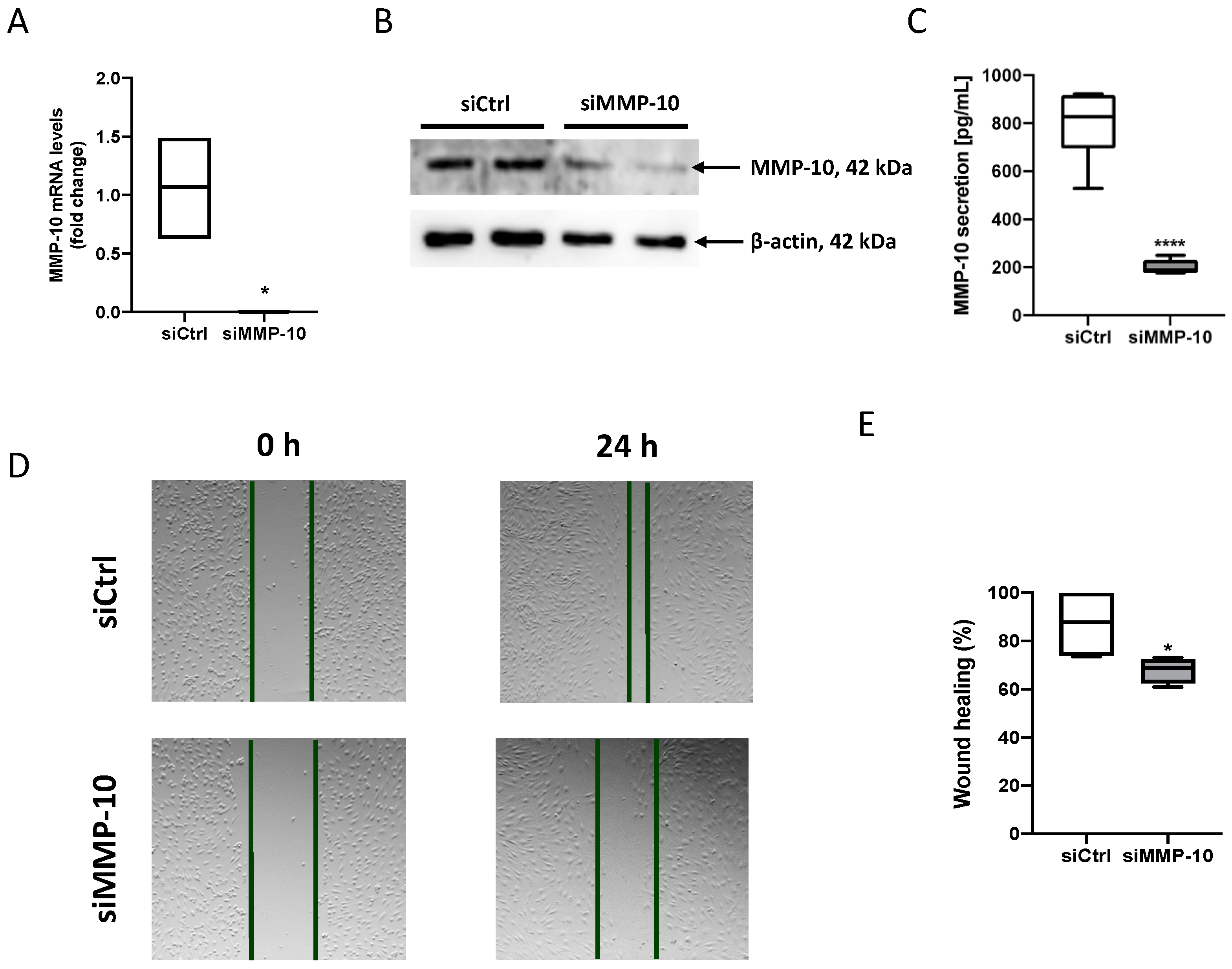 Antioxidants 13 01199 g002