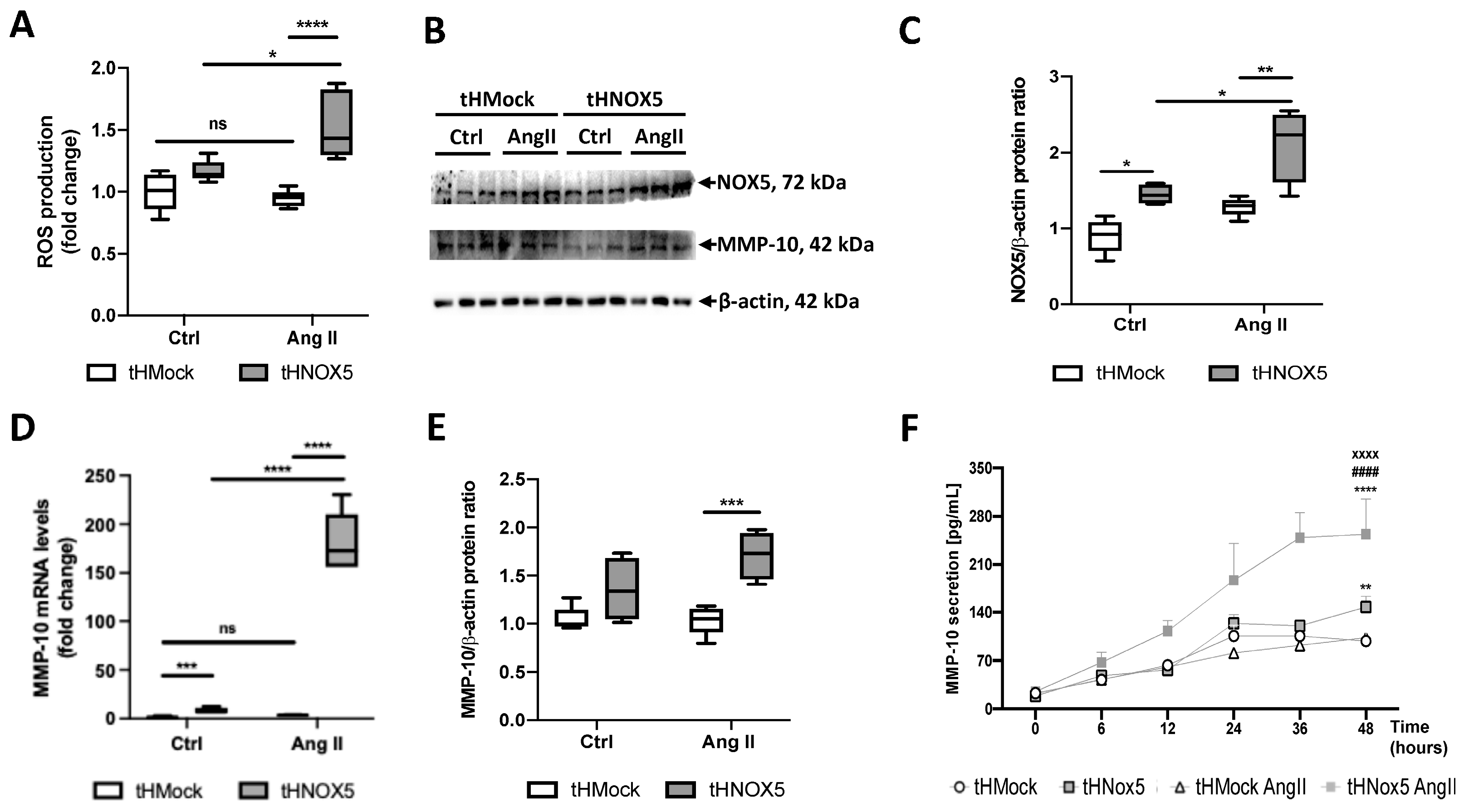 Antioxidants 13 01199 g006