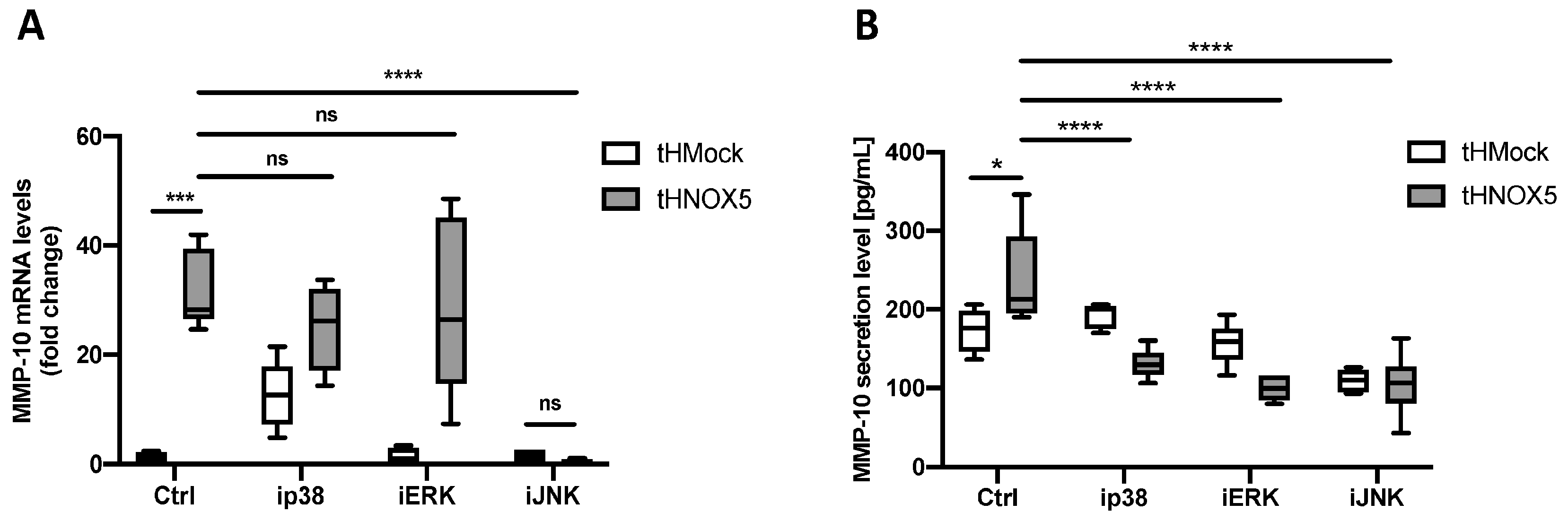 Antioxidants 13 01199 g007