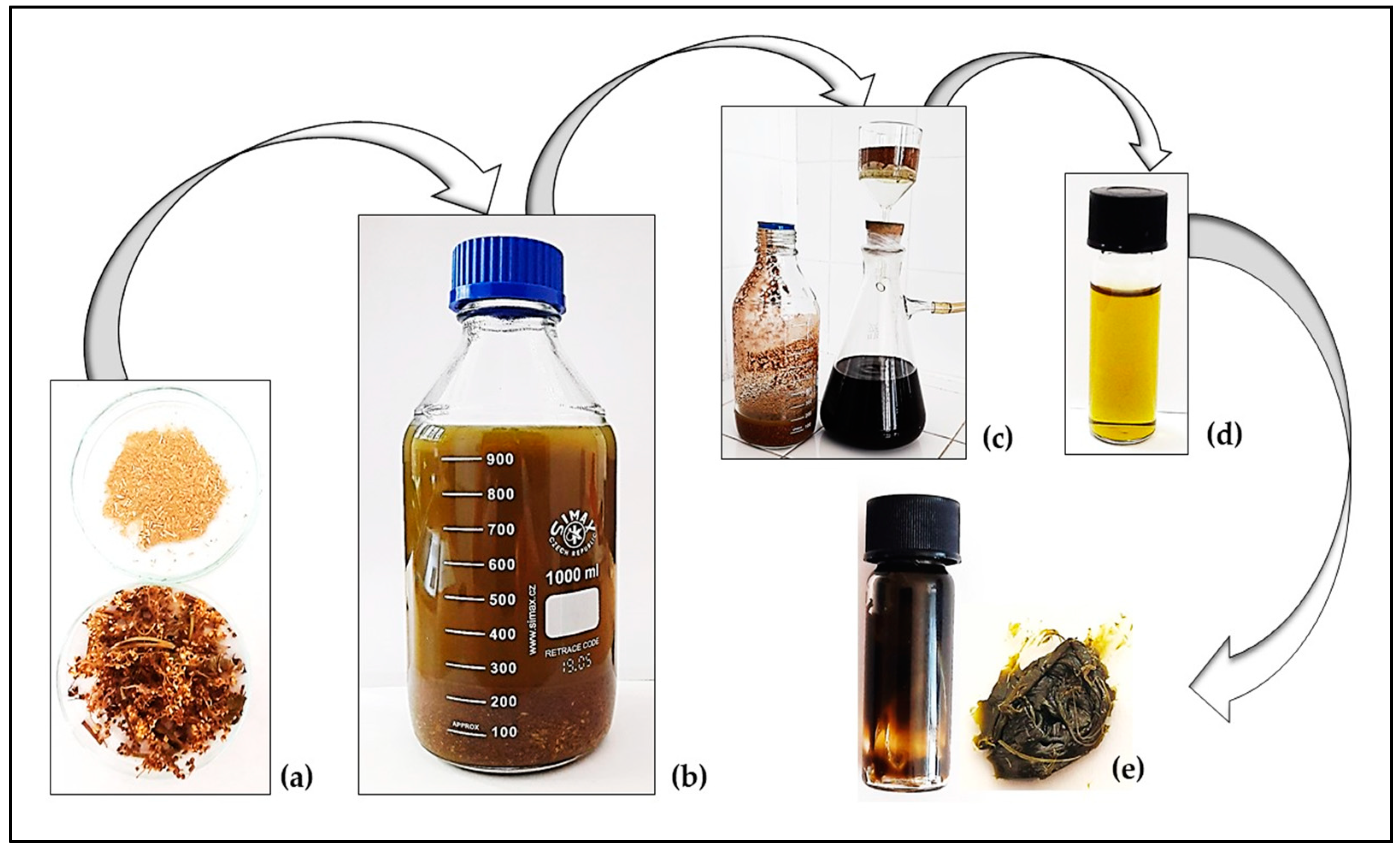 Antioxidants 13 01200 g002