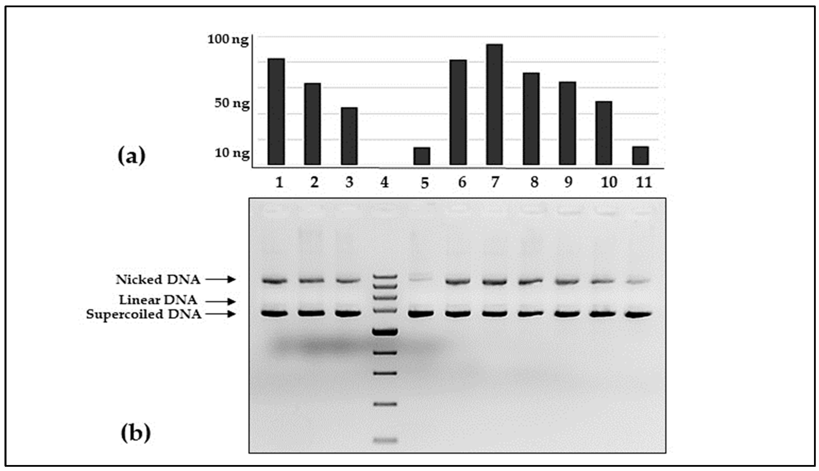 Antioxidants 13 01200 g003