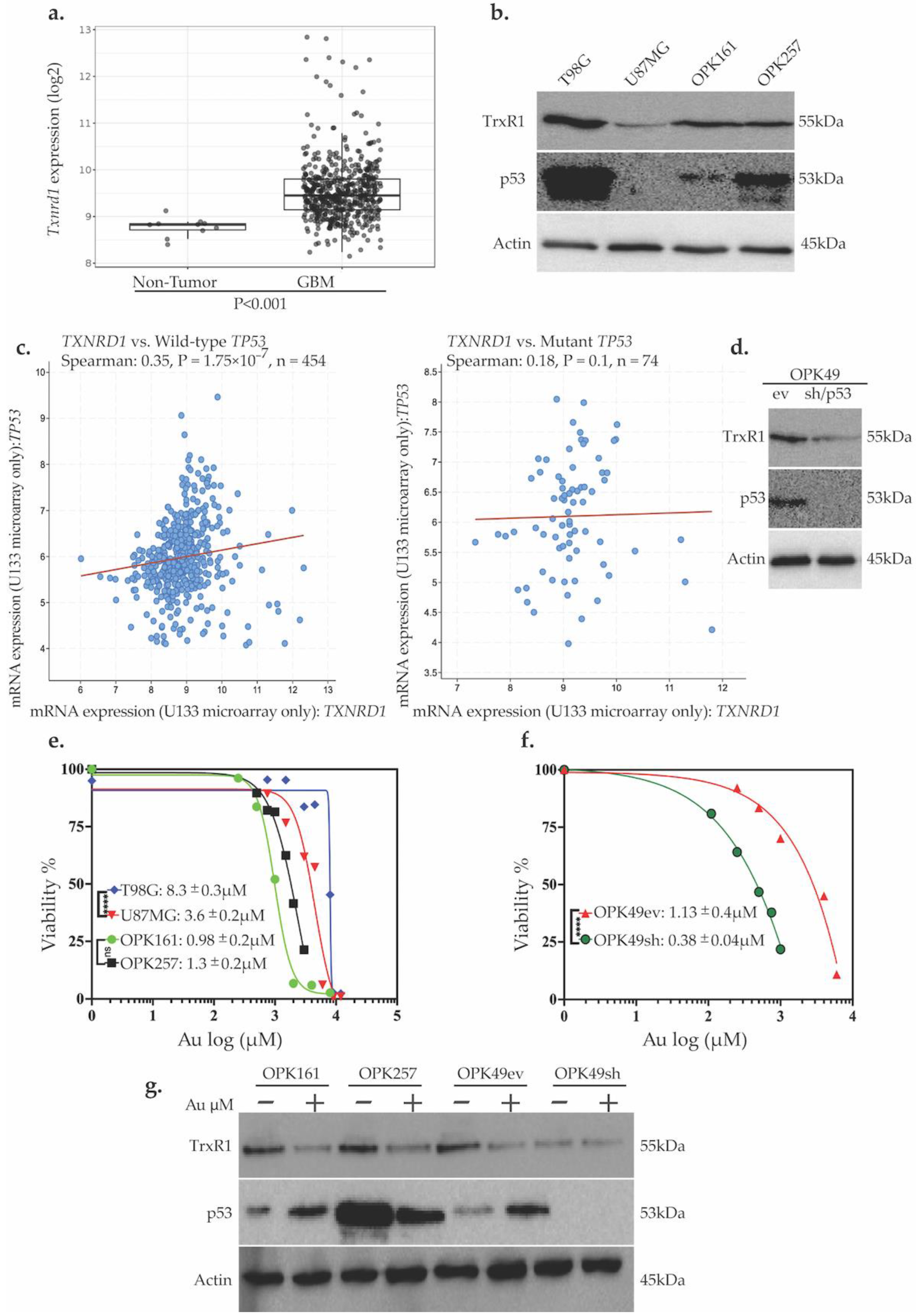Antioxidants 13 01201 g001
