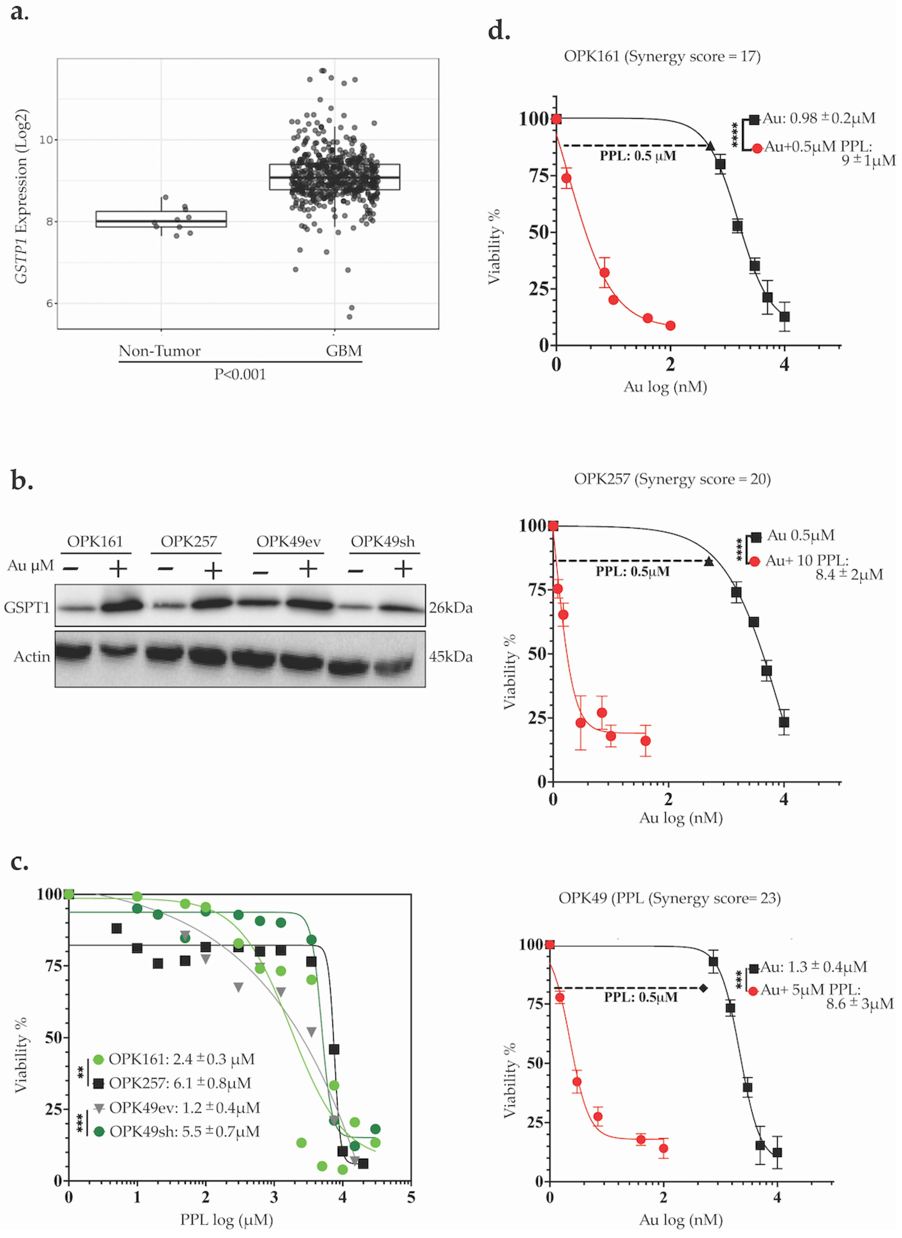 Antioxidants 13 01201 g006