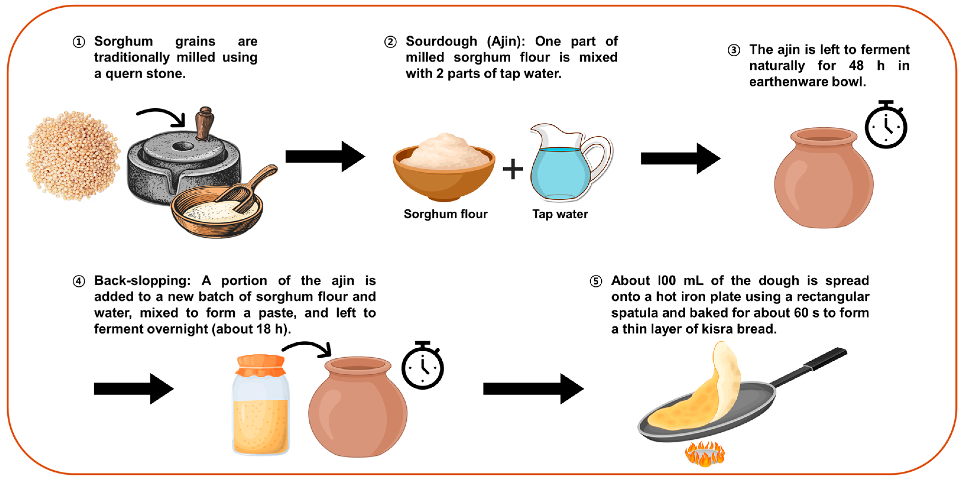 Antioxidants 13 01204 g001 Antioxidants 13 01204 g001