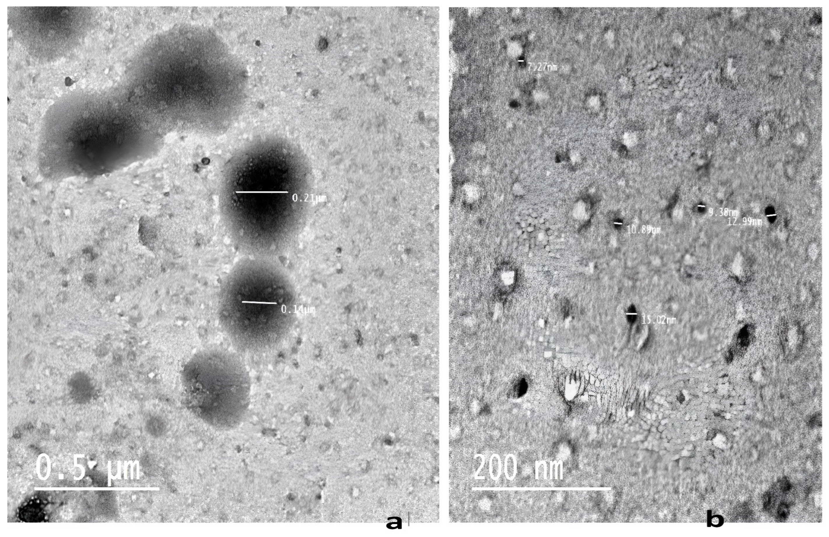 Antioxidants 13 01205 g002