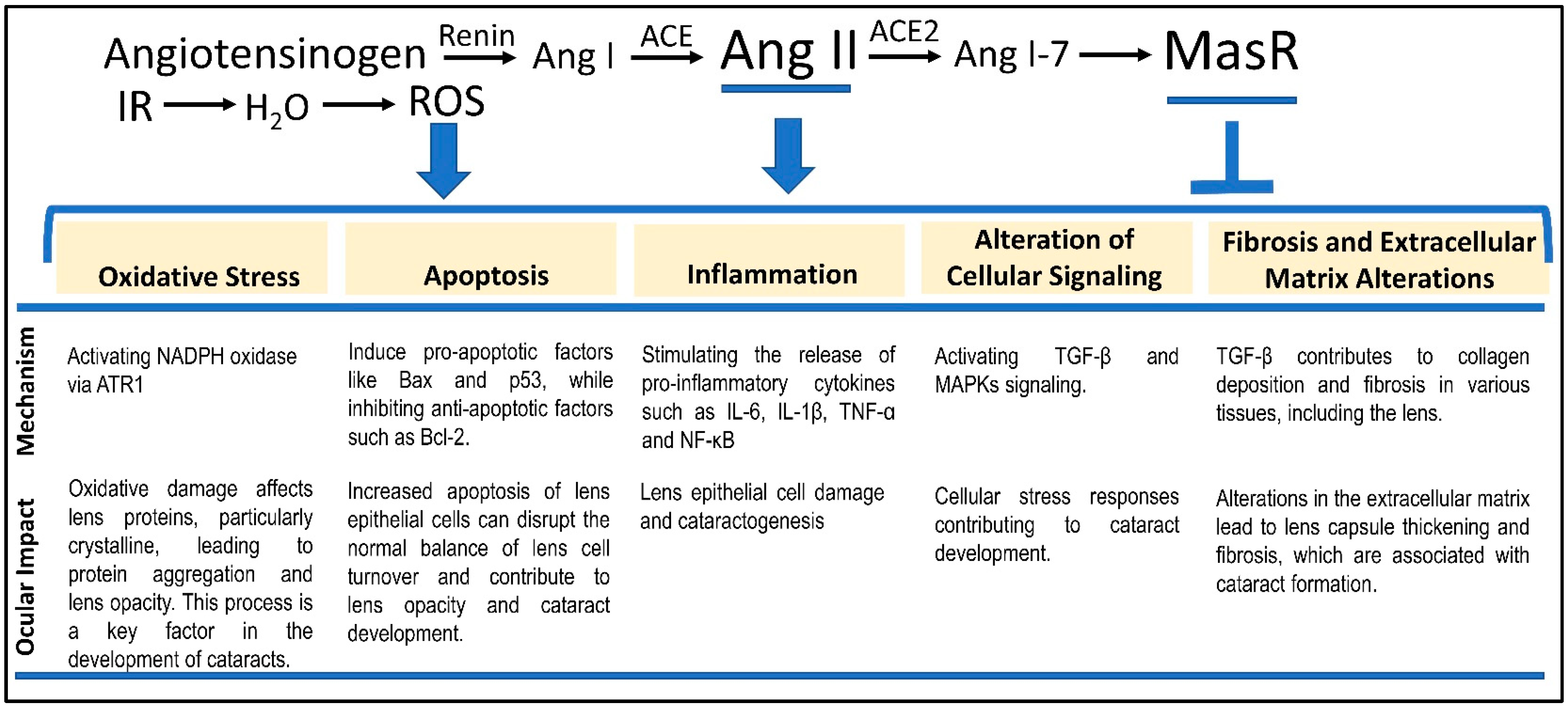 Antioxidants 13 01207 g001