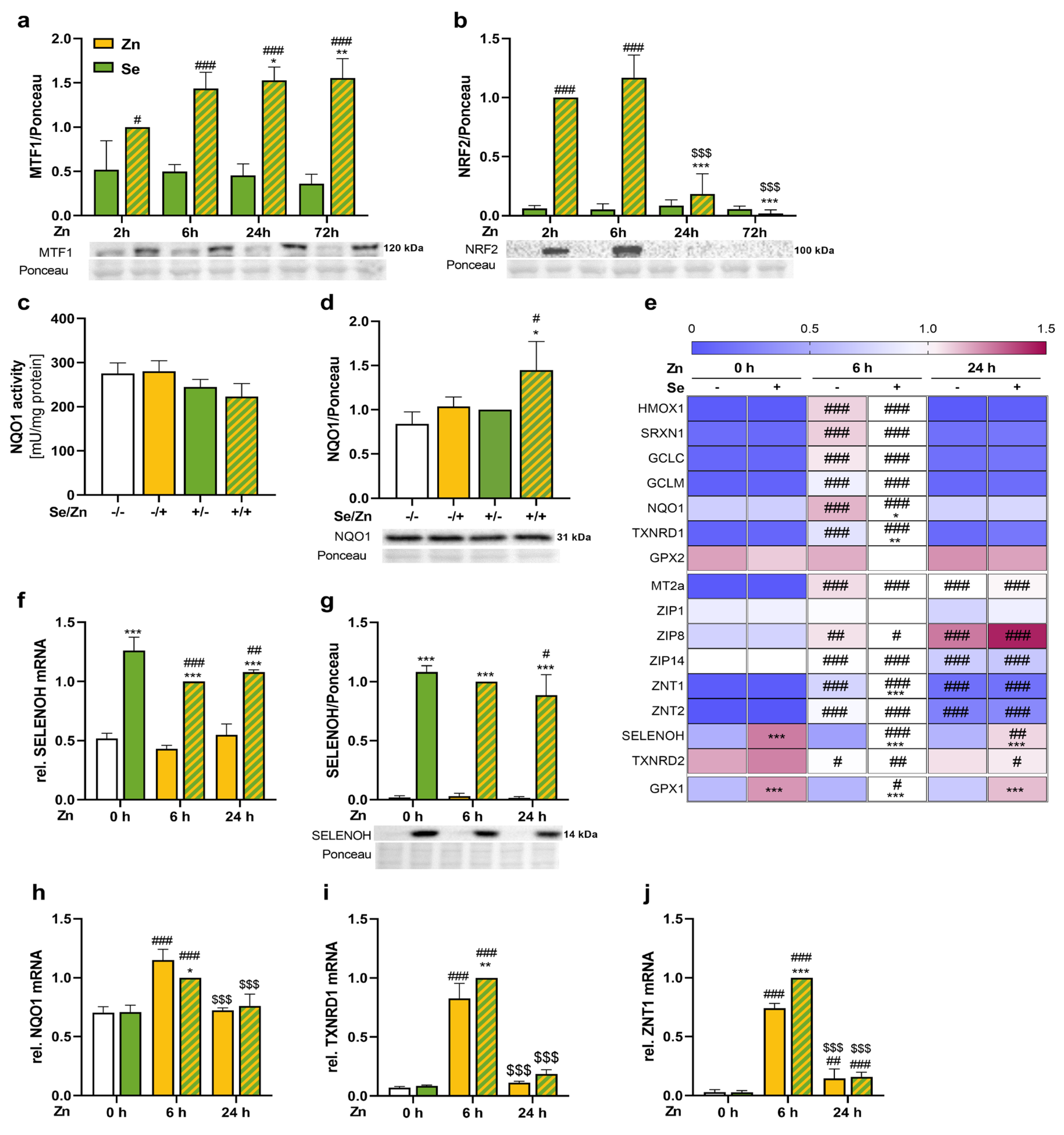 Antioxidants 13 01211 g003