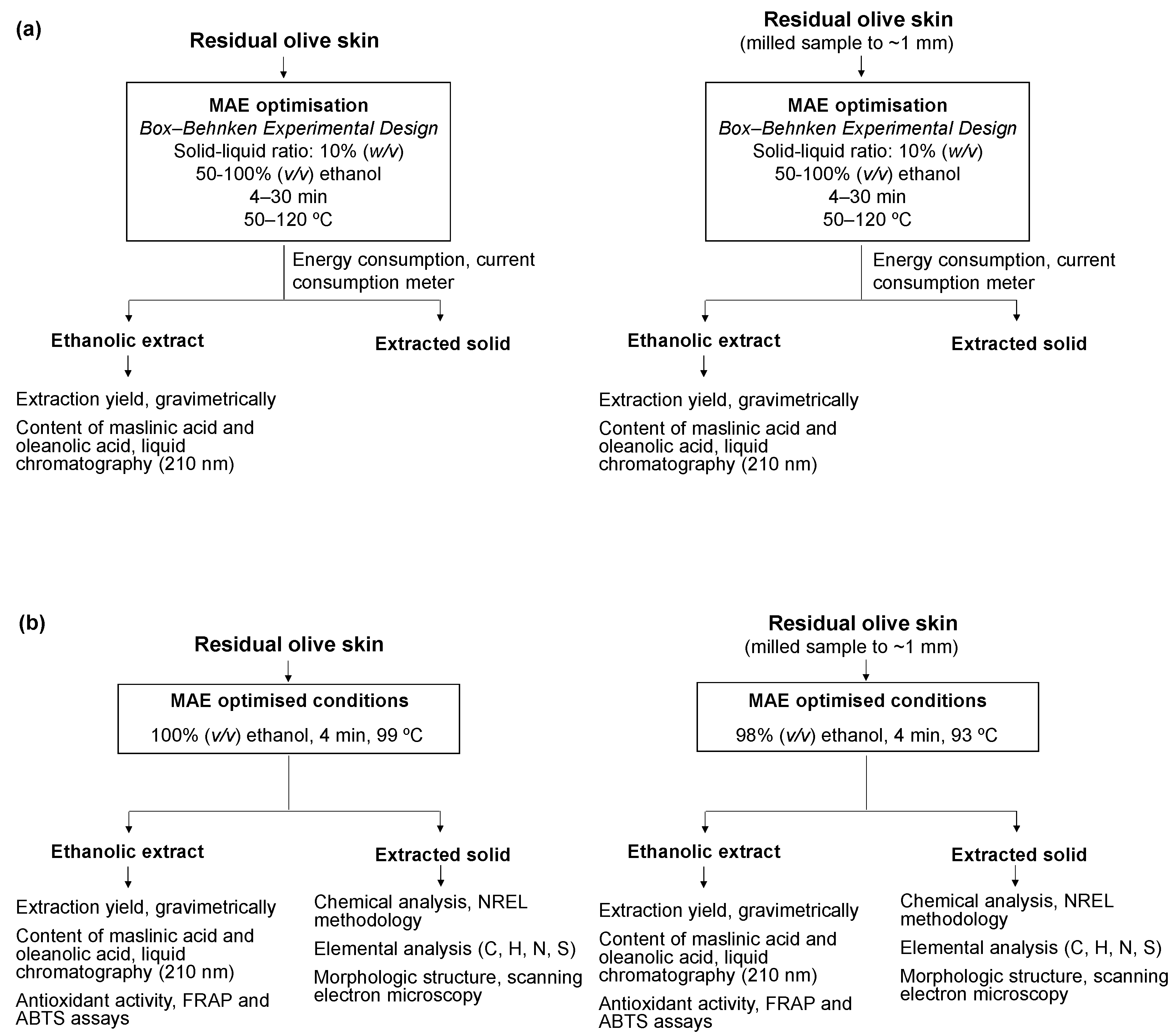 Antioxidants 13 01212 g001