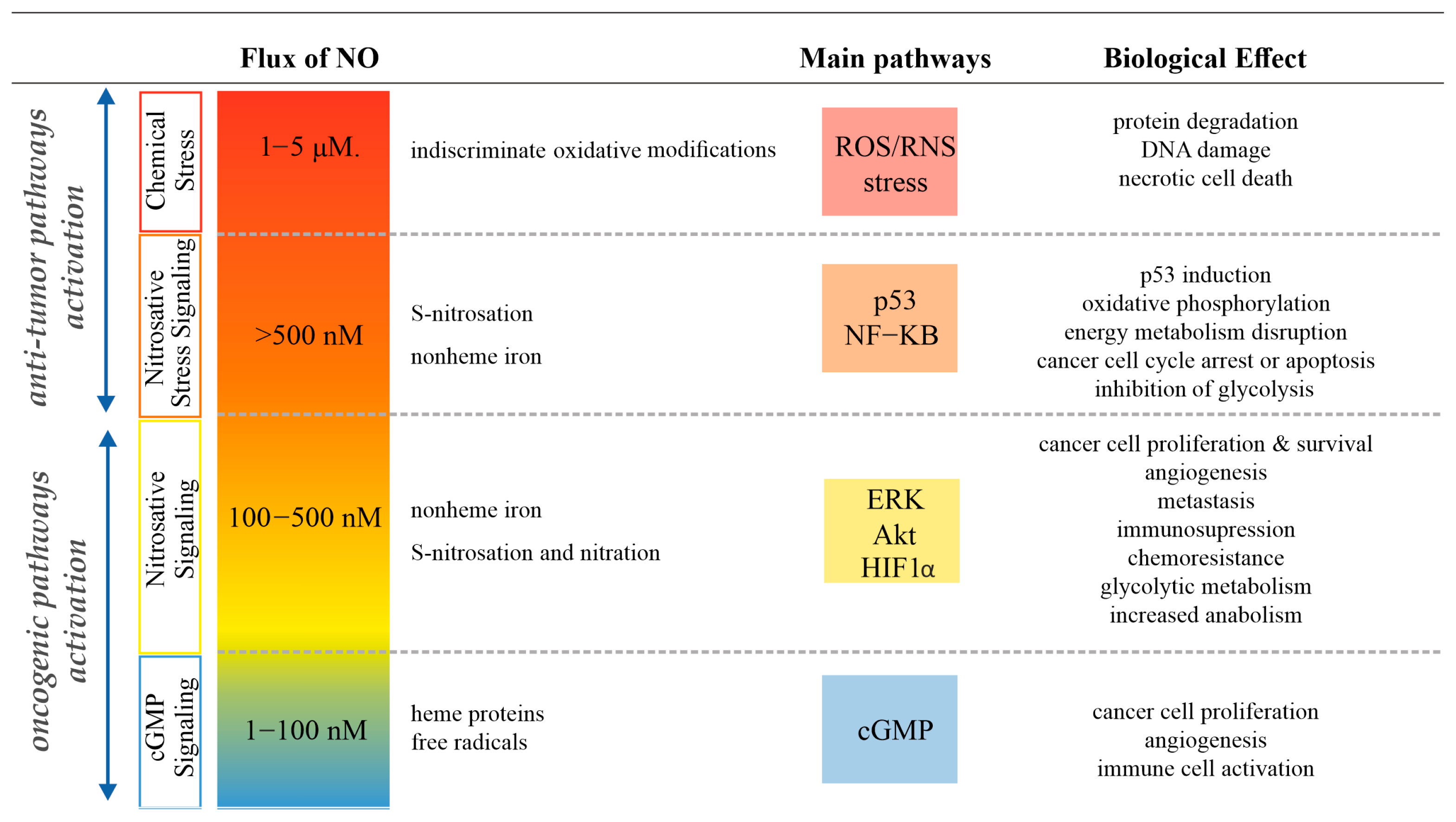 Antioxidants 13 01213 g002