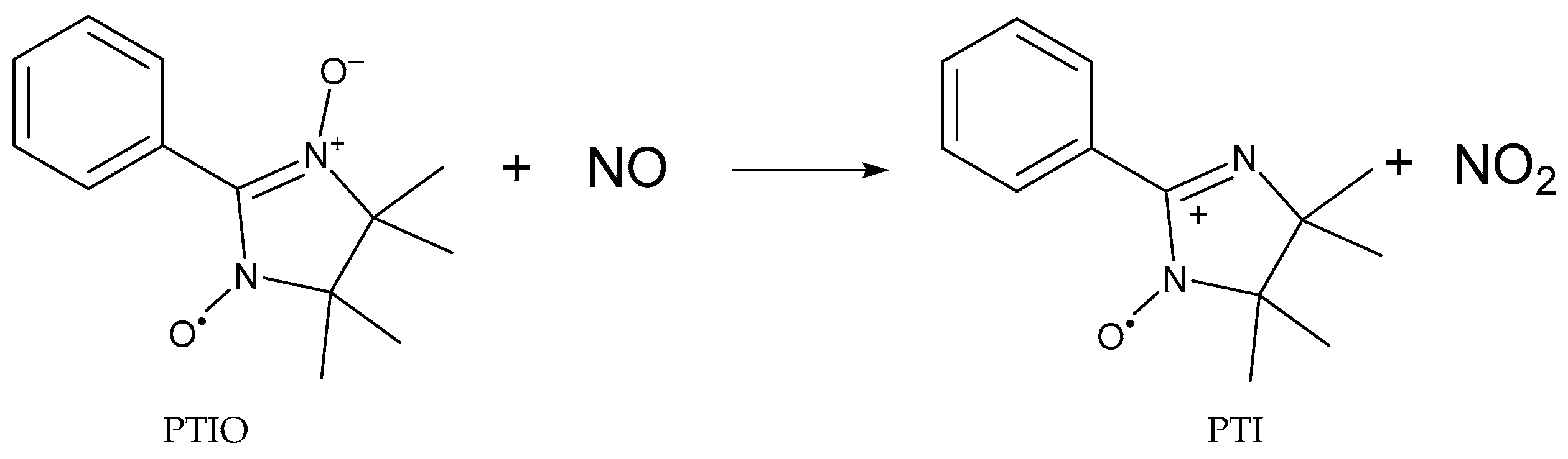 Antioxidants 13 01213 g004