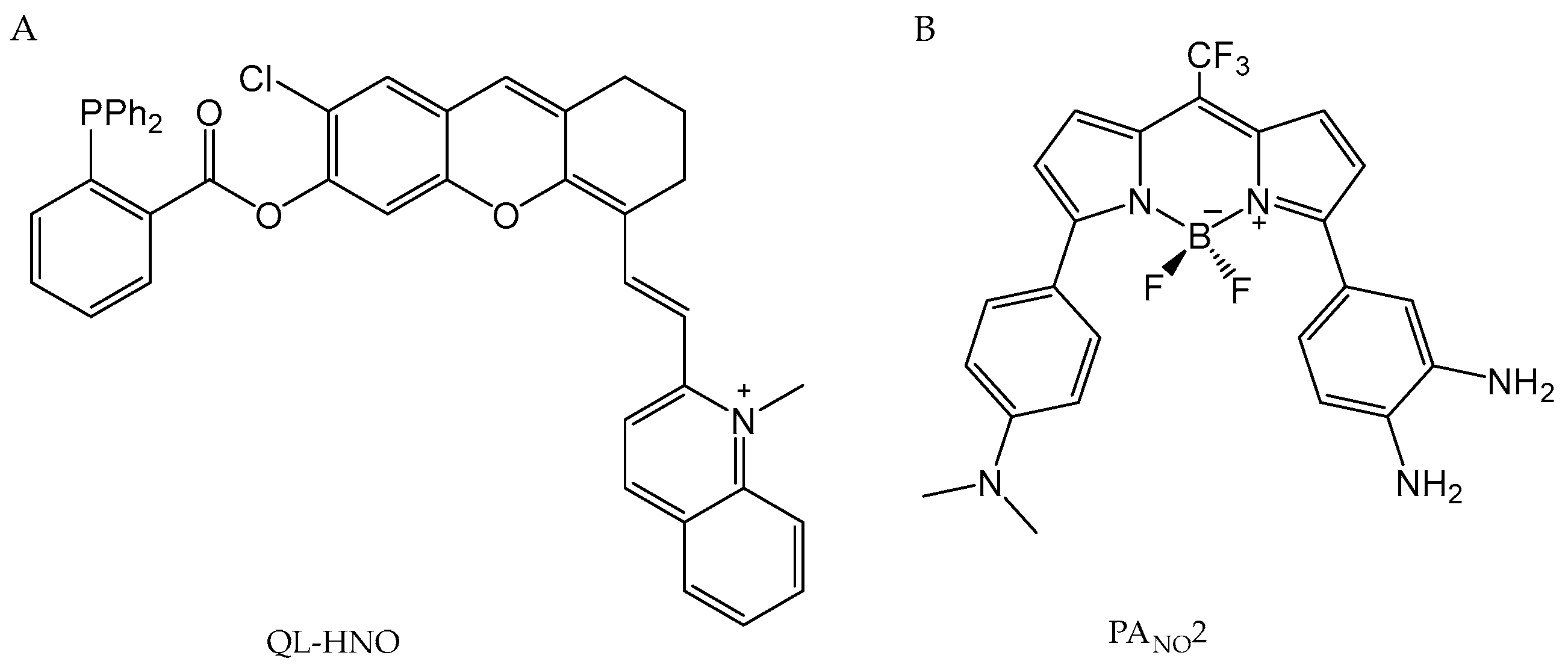 Antioxidants 13 01213 g008