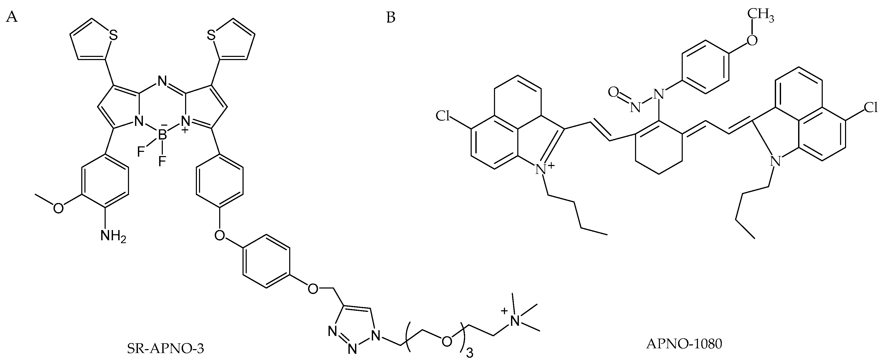 Antioxidants 13 01213 g010
