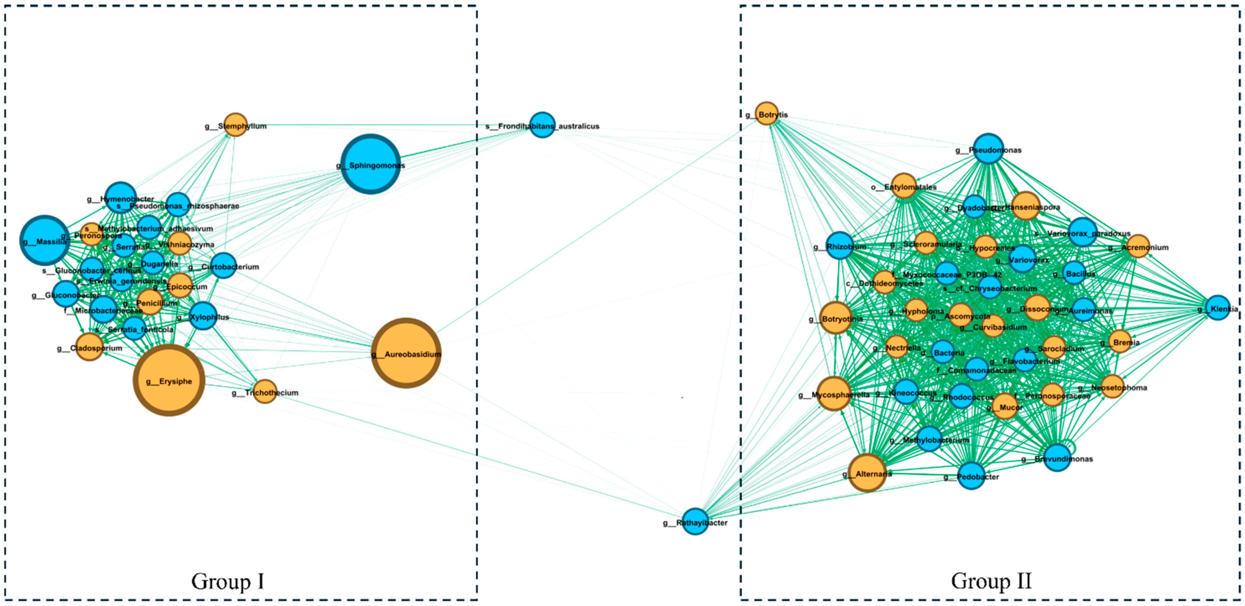 Antioxidants 13 01214 g003