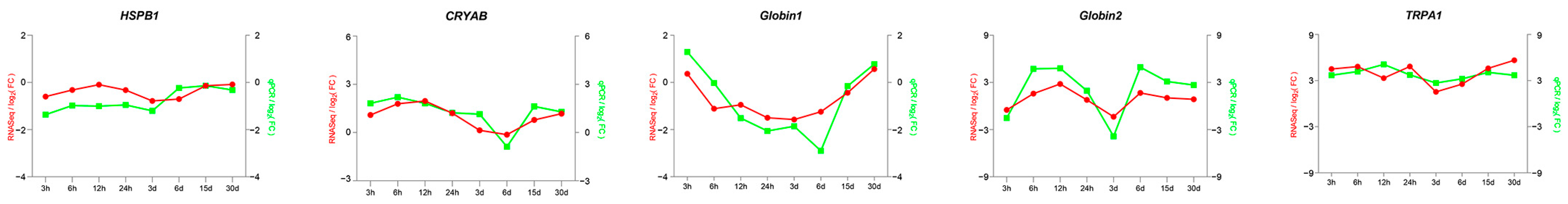 Antioxidants 13 01217 g009