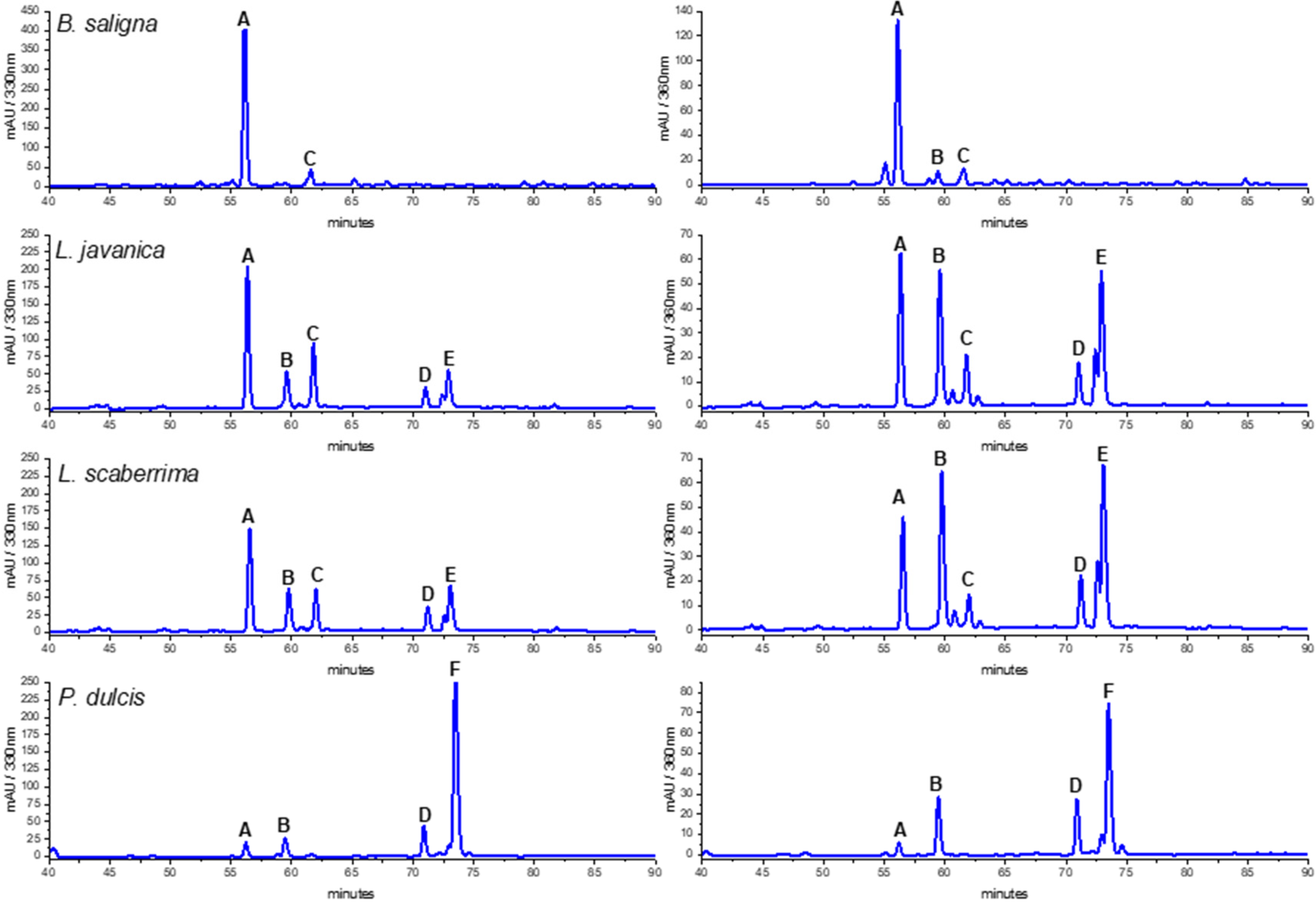 Antioxidants 13 01219 g002