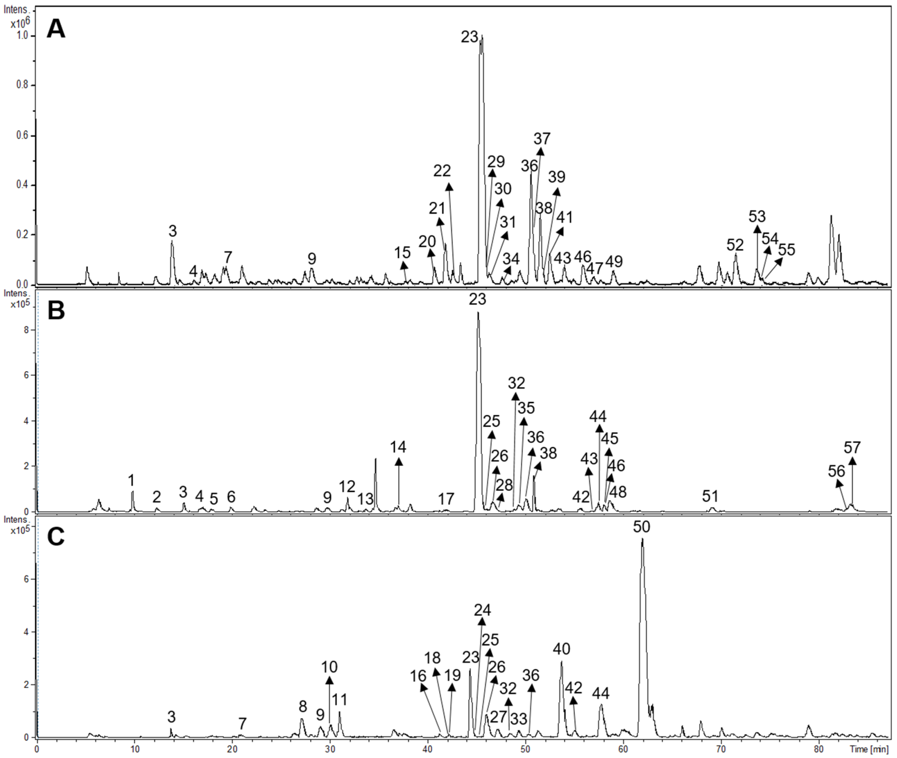 Antioxidants 13 01219 g003