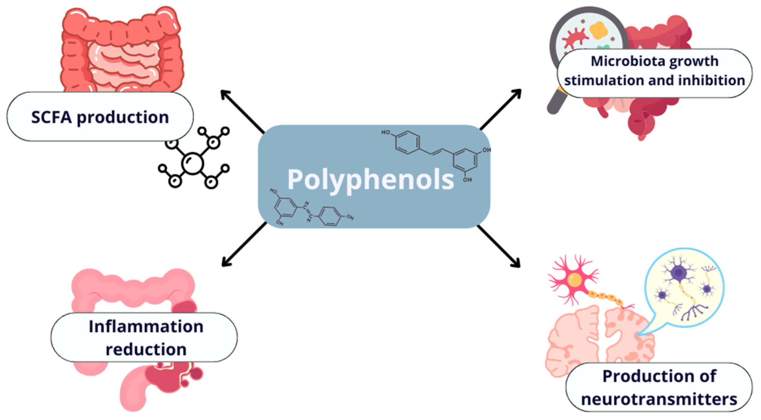 Antioxidants 13 01220 g003