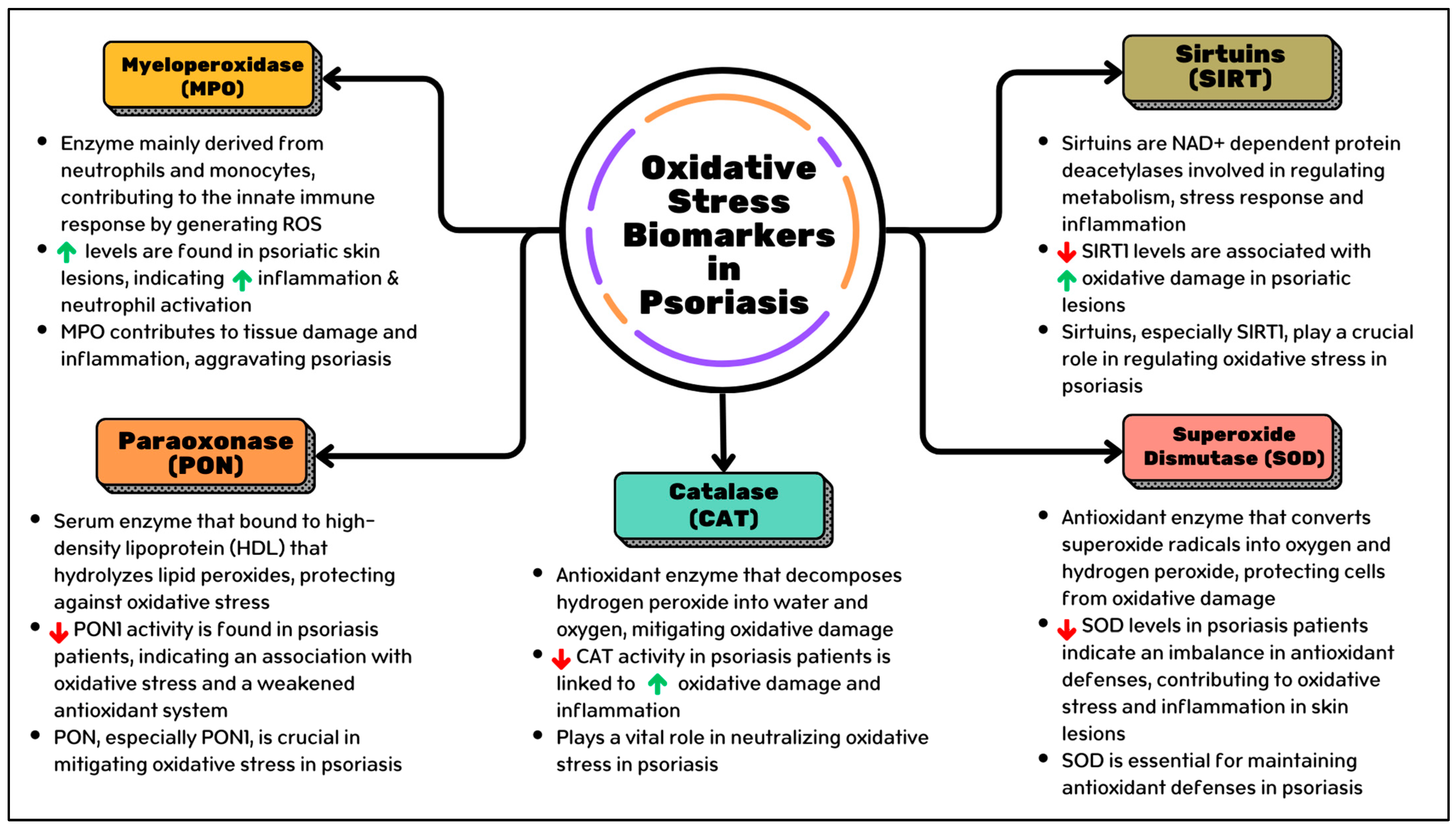 Antioxidants 13 01222 g001