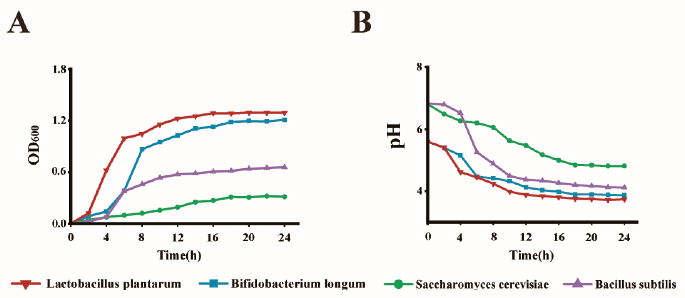 Antioxidants 13 01223 g001