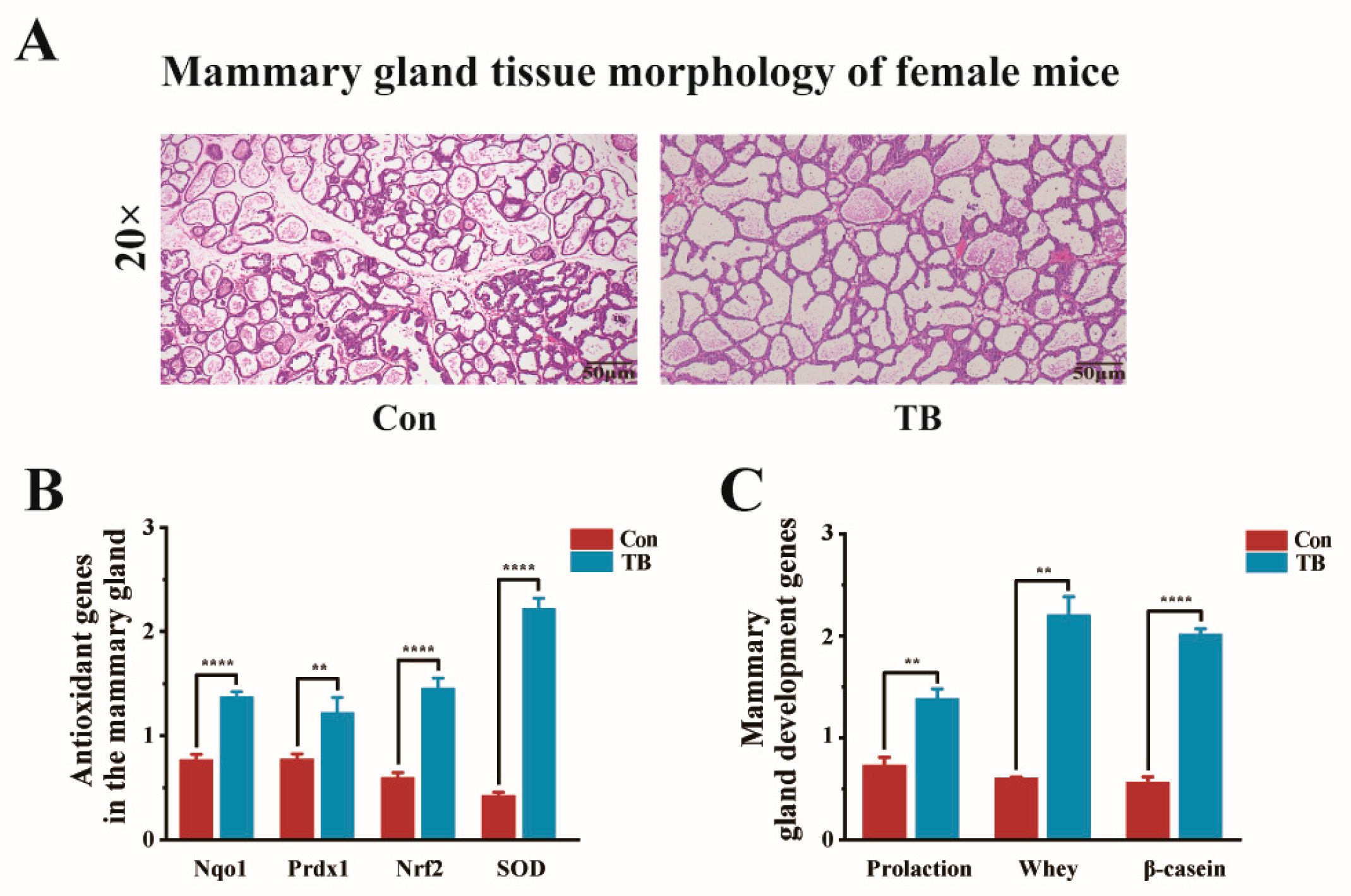 Antioxidants 13 01223 g004