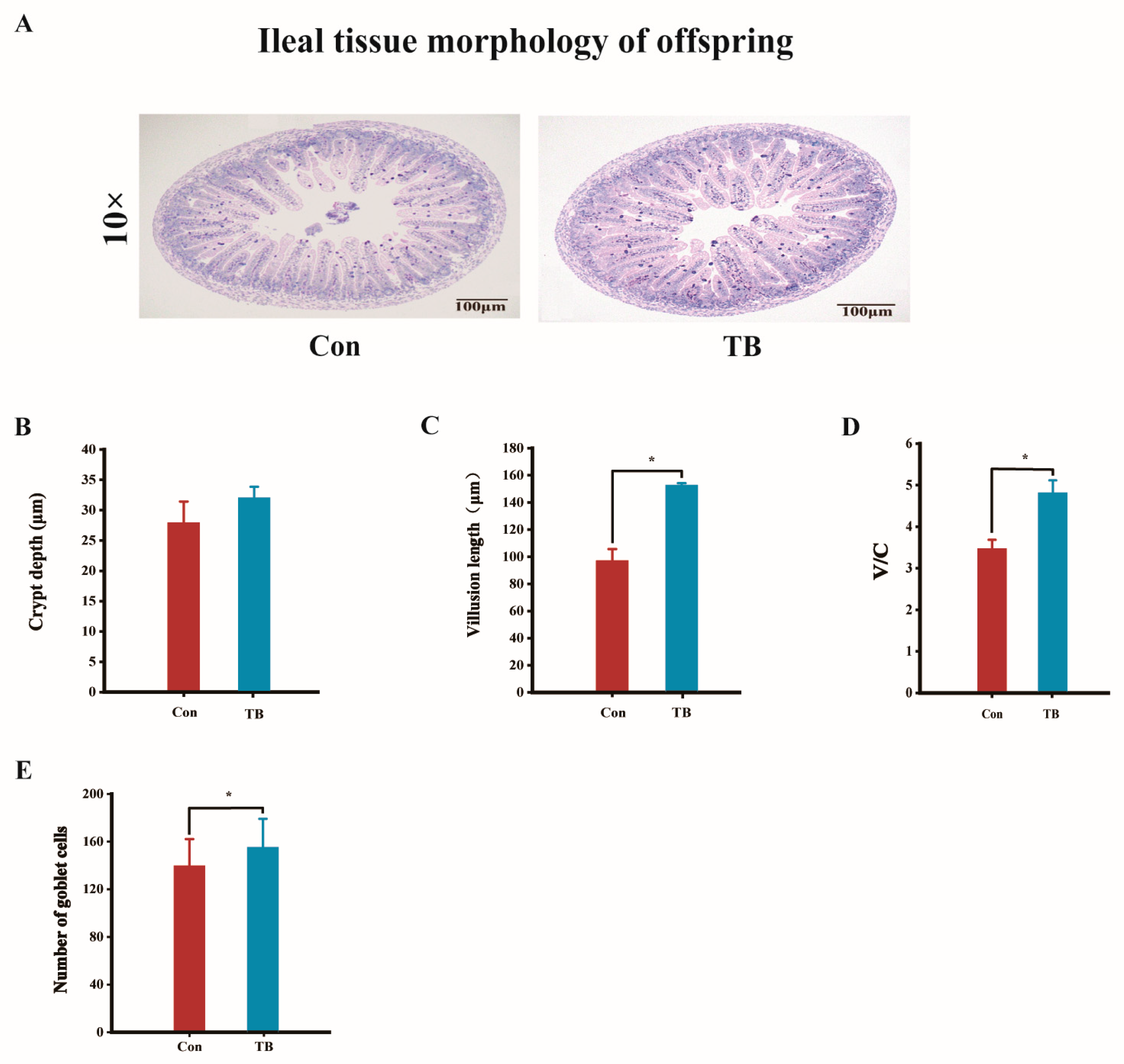 Antioxidants 13 01223 g007