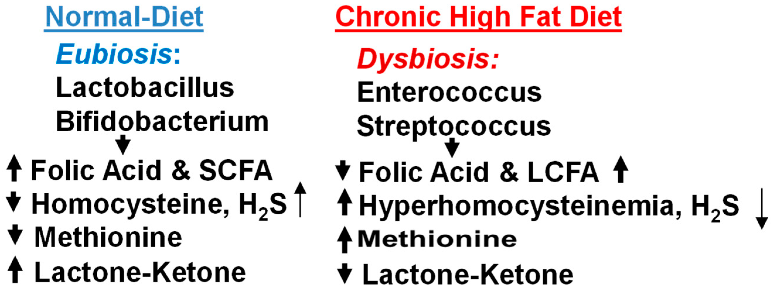 Antioxidants 13 01225 g001