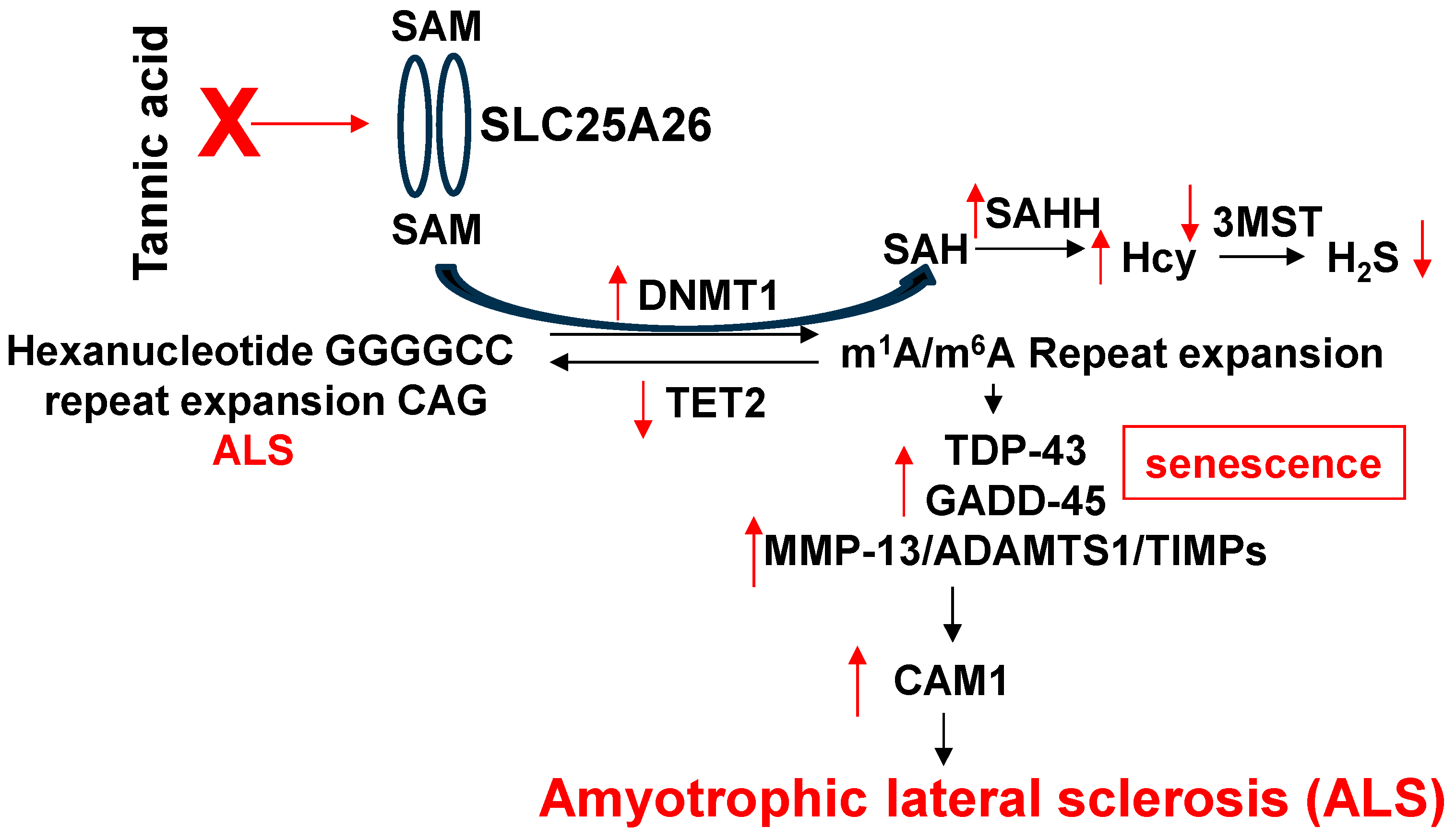 Antioxidants 13 01225 g003